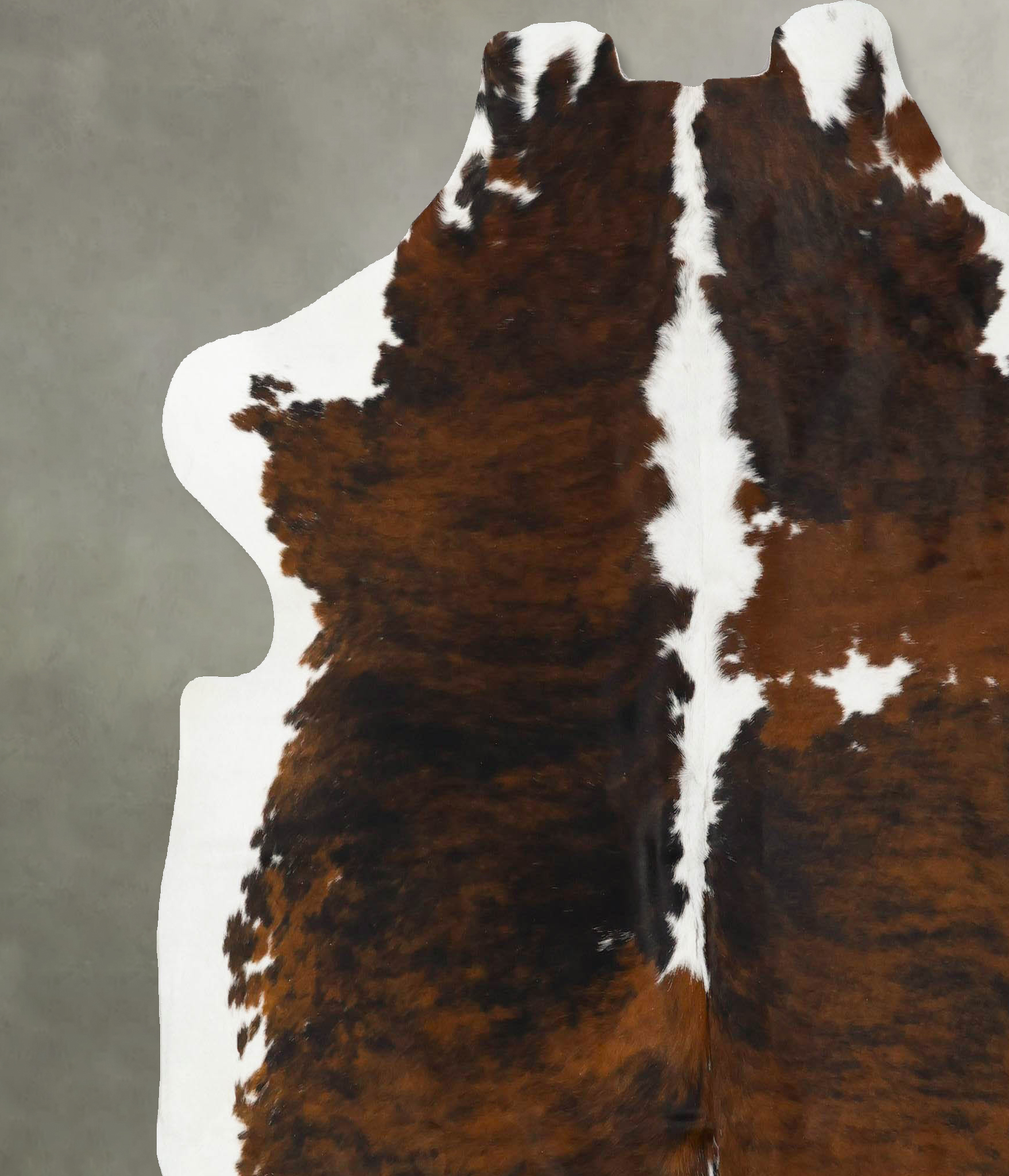Tricolor Cowhide Rug #B23112