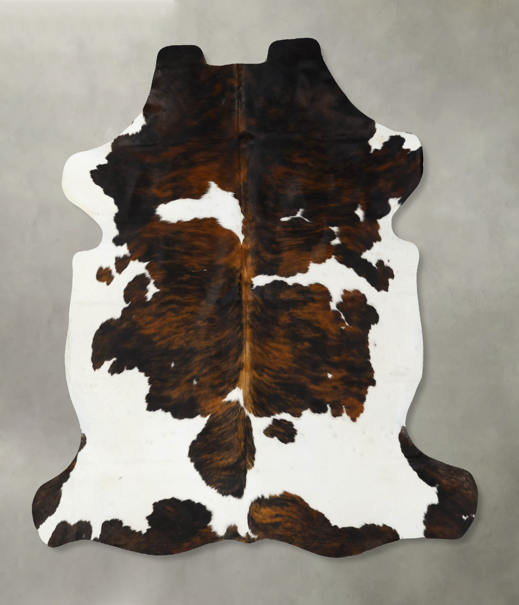 Tricolor Cowhide Rug #B23113