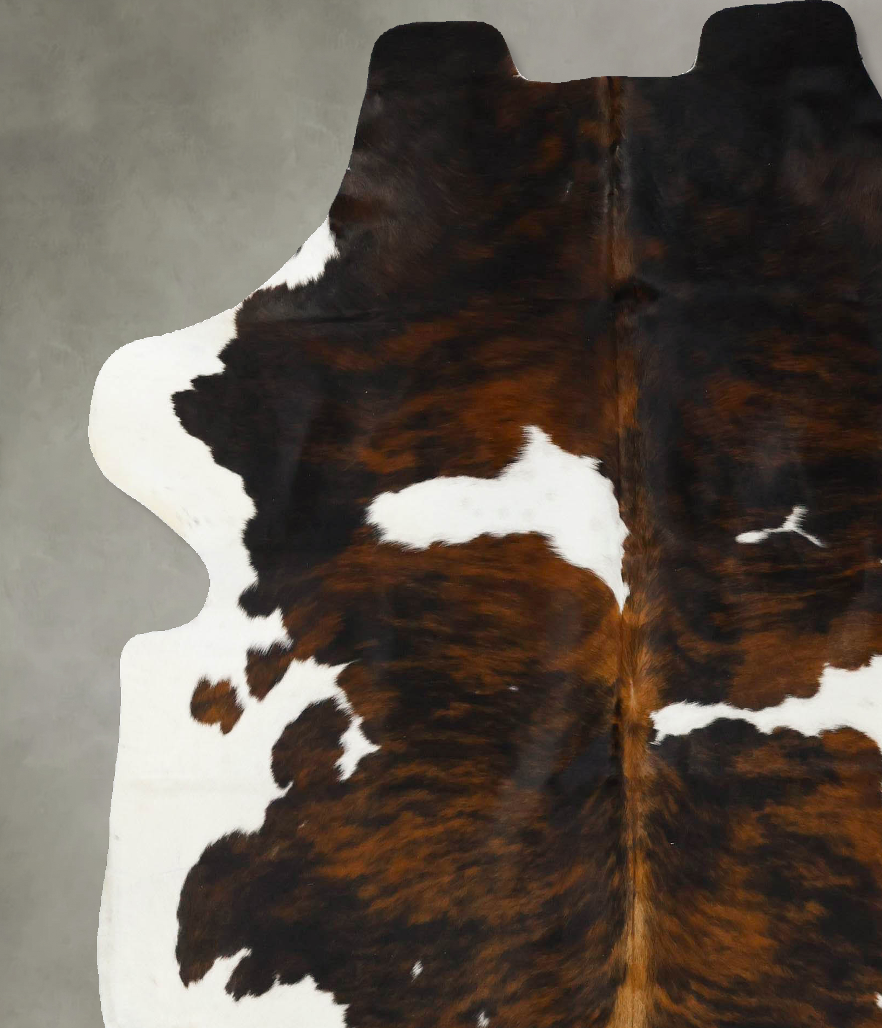 Tricolor Cowhide Rug #B23113