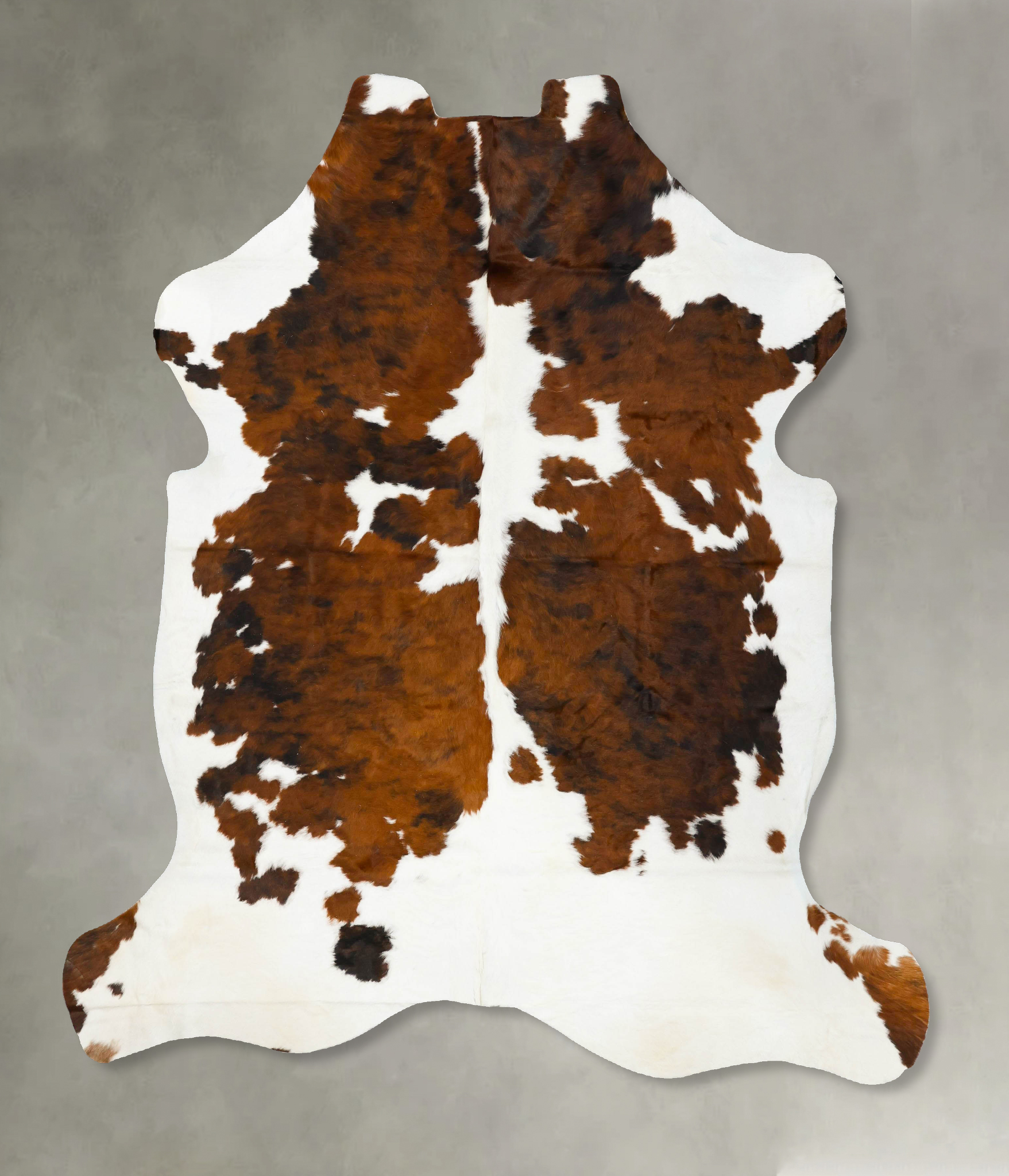 Tricolor Cowhide Rug #B23119