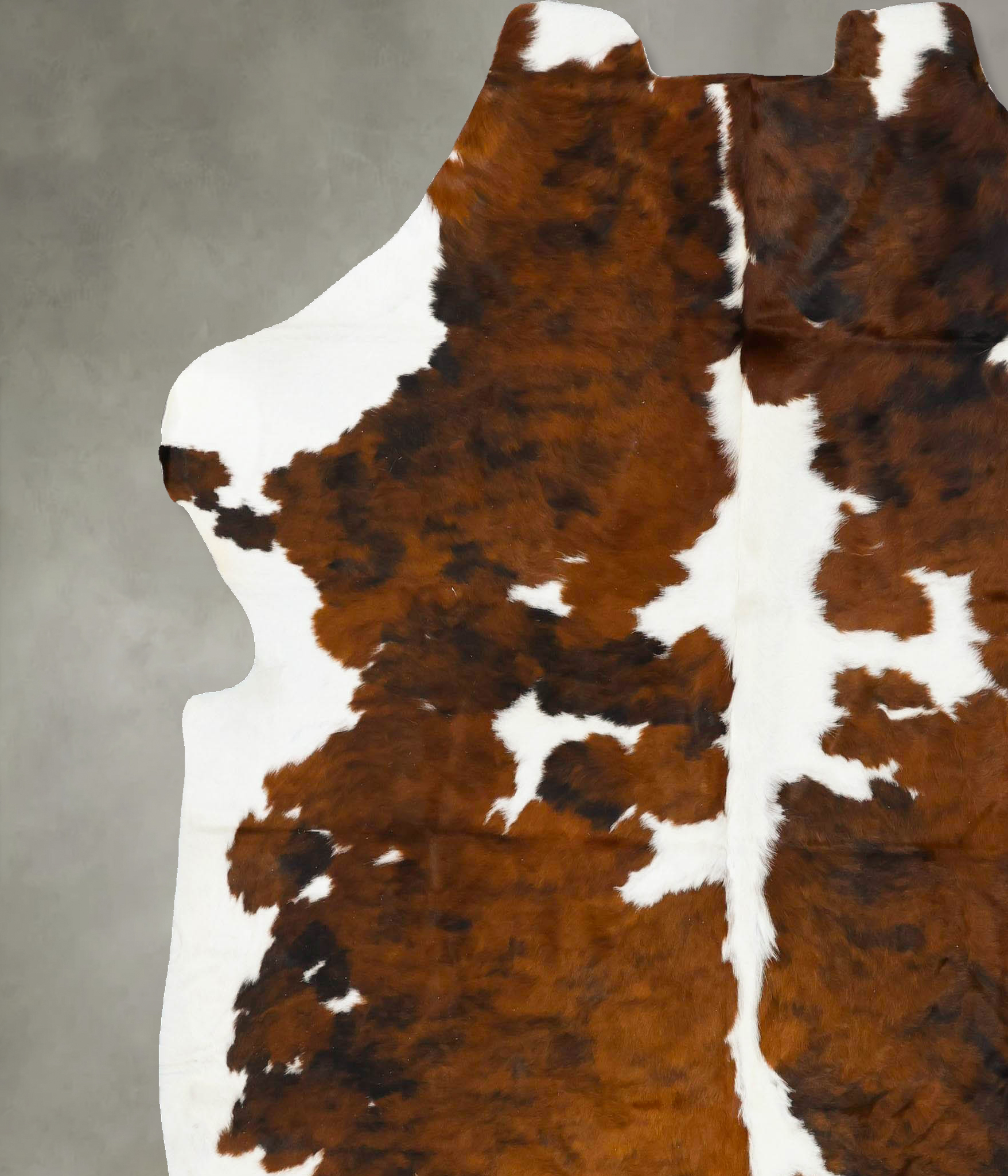 Tricolor Cowhide Rug #B23119