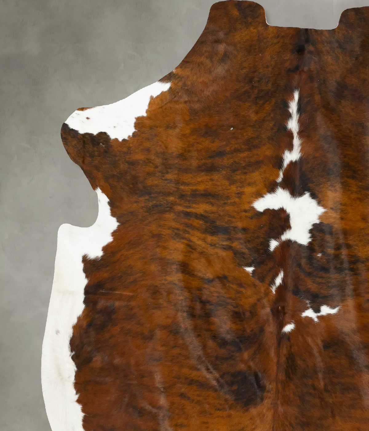 Tricolor XX-Large European Cowhide Rug 8'1"H x 6'11"W #B23121 by Hudson Hides