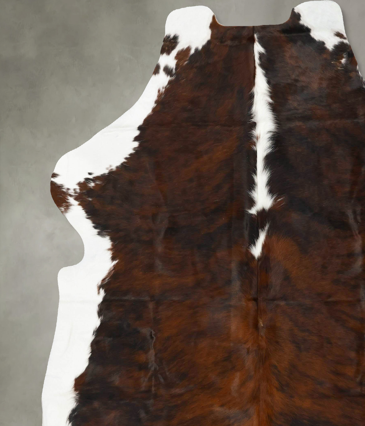 Tricolor XX-Large European Cowhide Rug 8'2"H x 7'0"W #B23131 by Hudson Hides