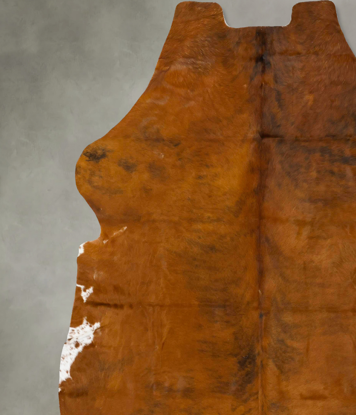 Medium Brindle XX-Large European Cowhide Rug 8'5"H x 7'4"W #B23136 by Hudson Hides