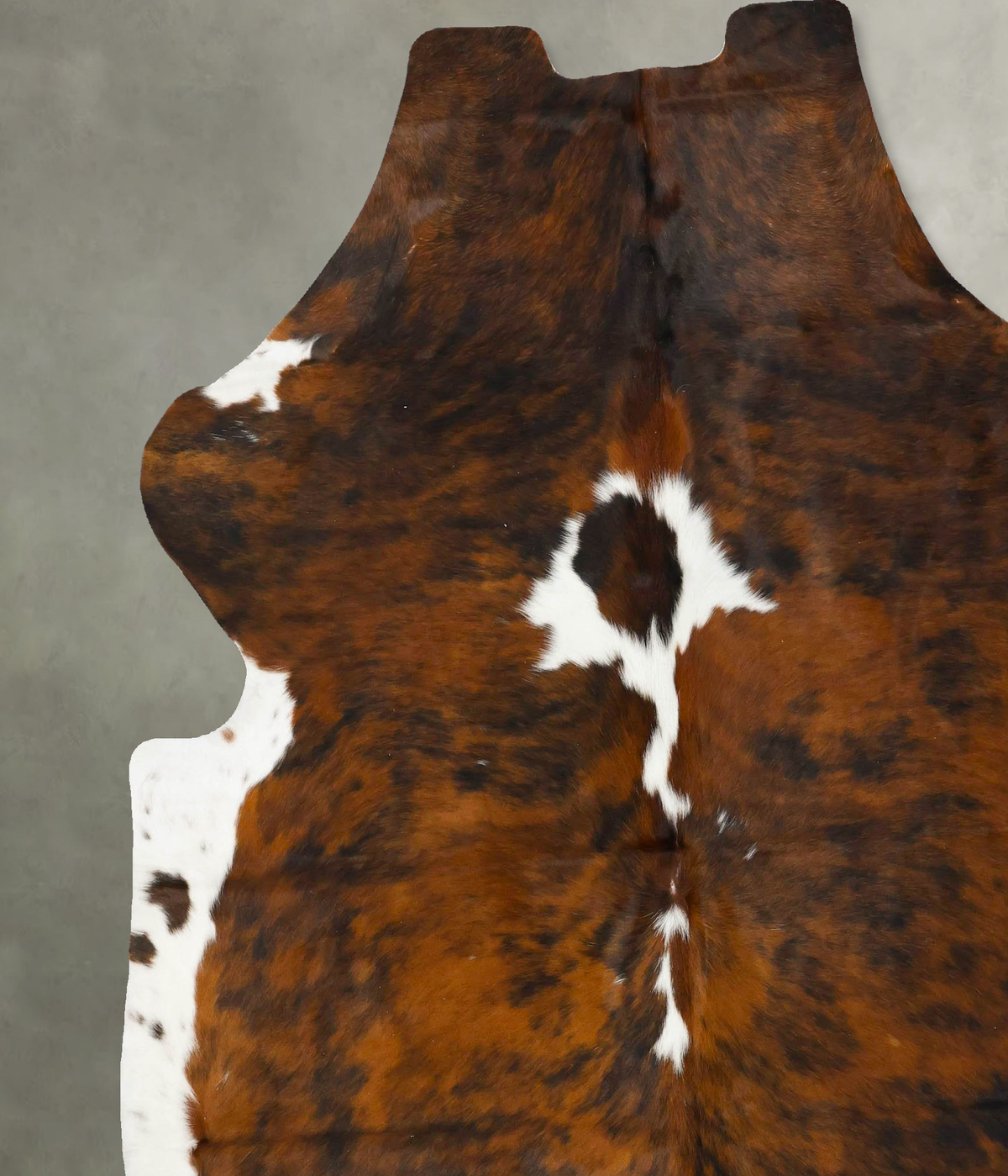 Tricolor XX-Large European Cowhide Rug 8'0"H x 6'10"W #B23138 by Hudson Hides