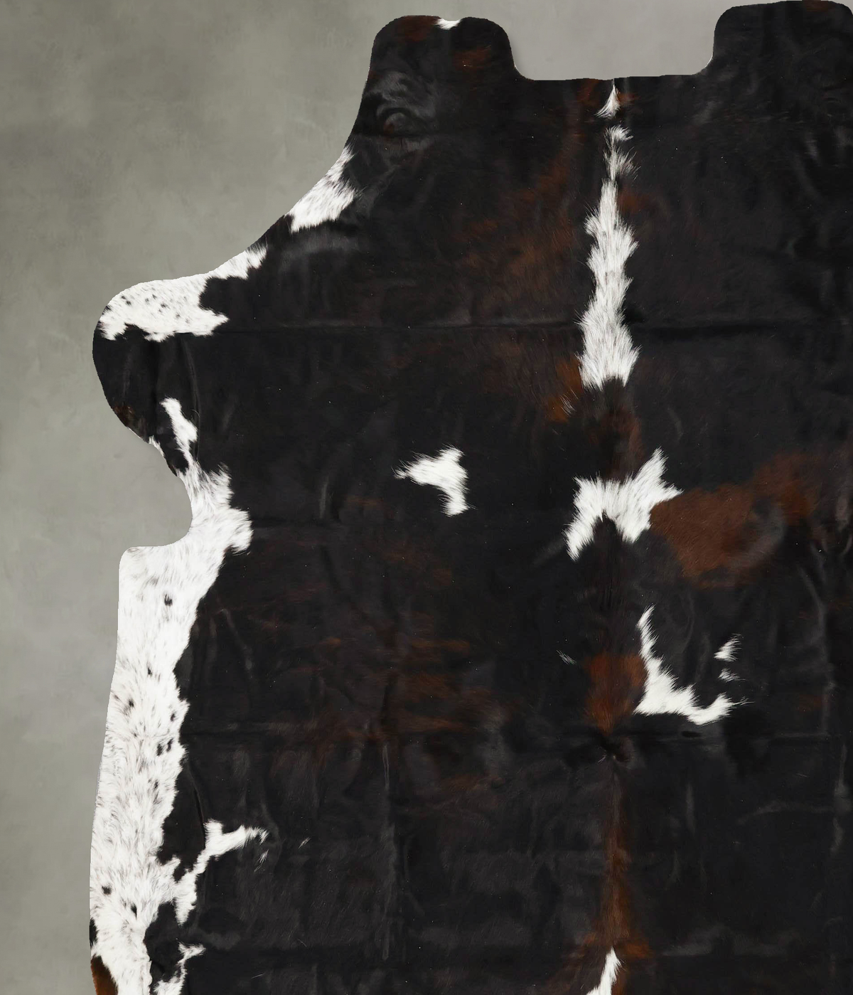 Tricolor XX-Large European Cowhide Rug 7'9"H x 7'5"W #B23141 by Hudson Hides