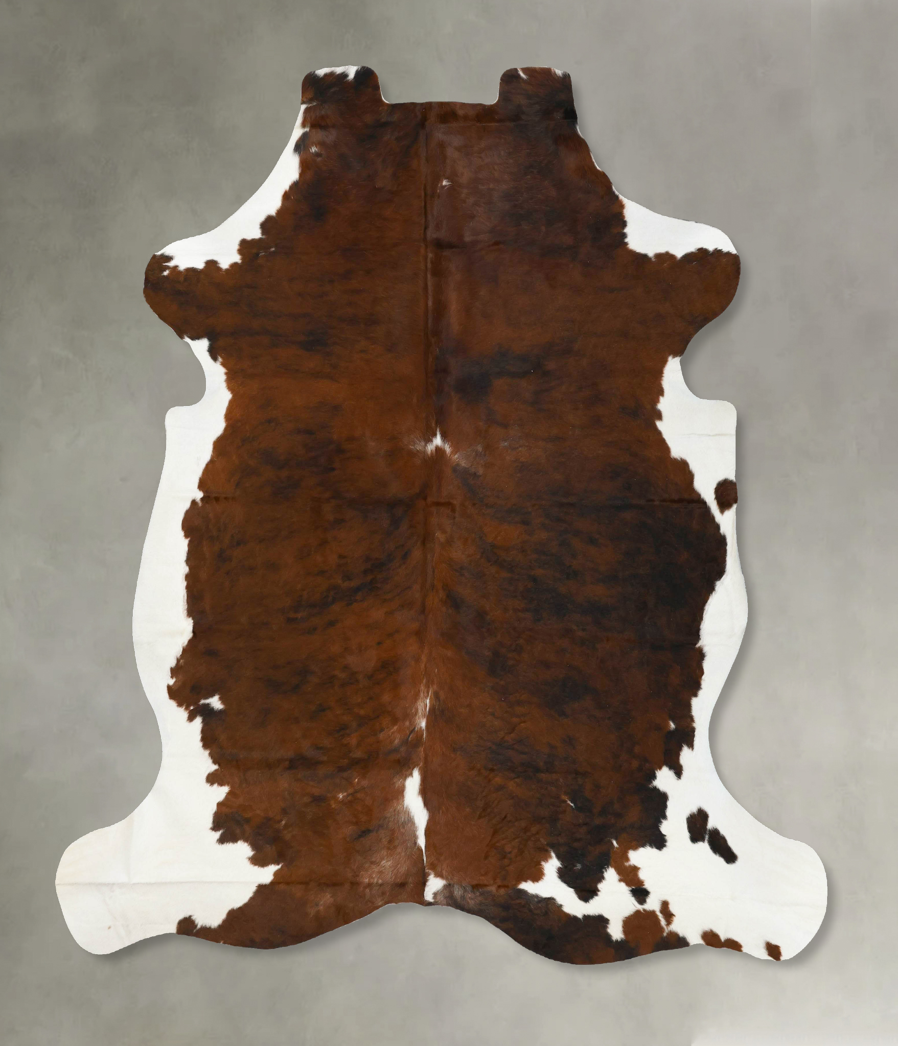 Tricolor Cowhide Rug #B23142