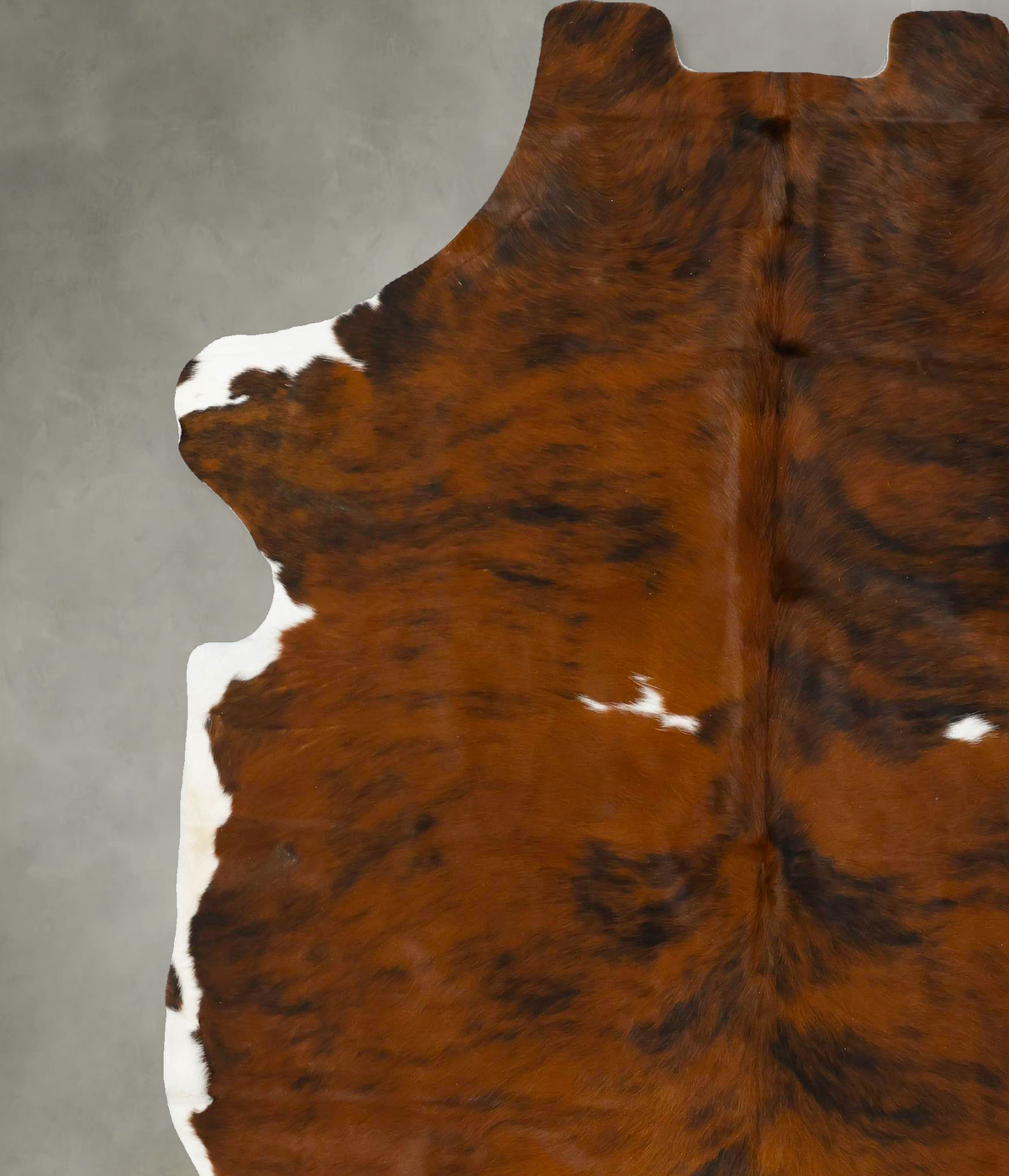 Tricolor XX-Large European Cowhide Rug 7'11"H x 6'10"W #B23143 by Hudson Hides
