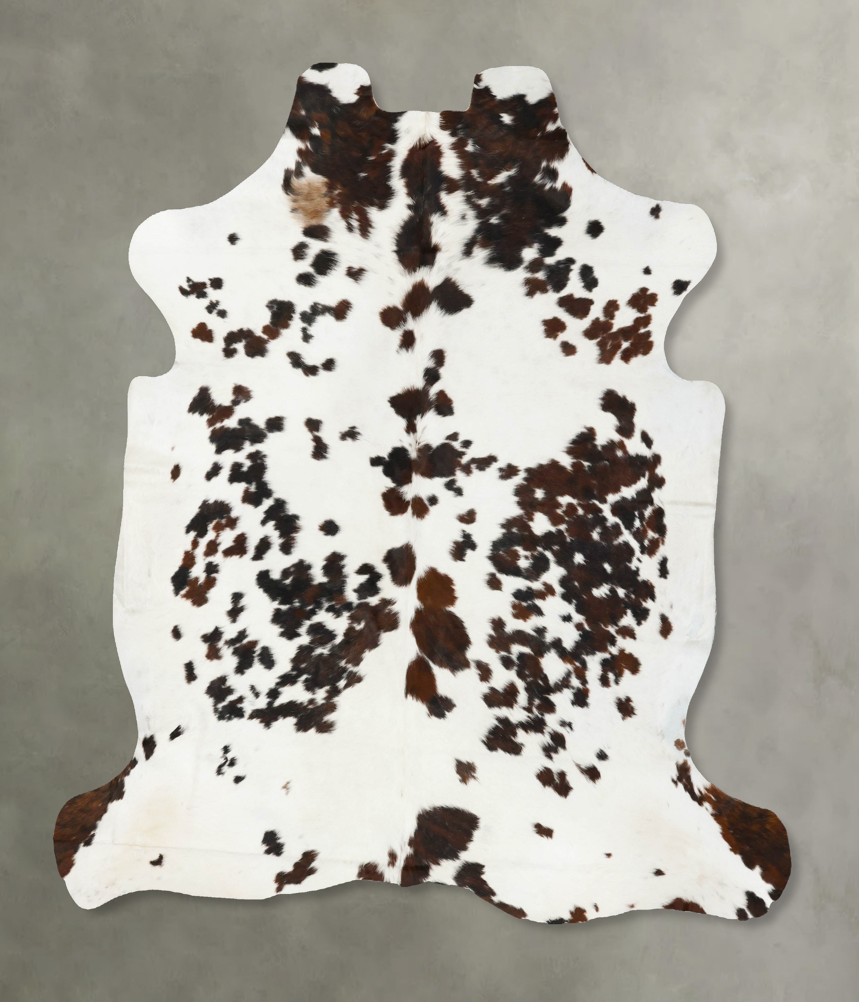 Tricolor Cowhide Rug #B23148