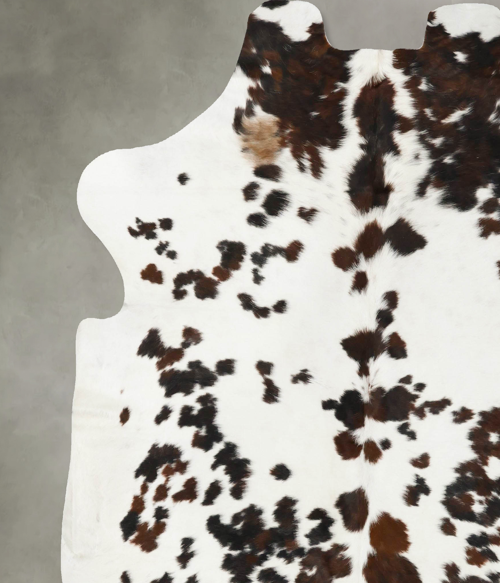 Tricolor Cowhide Rug #B23148