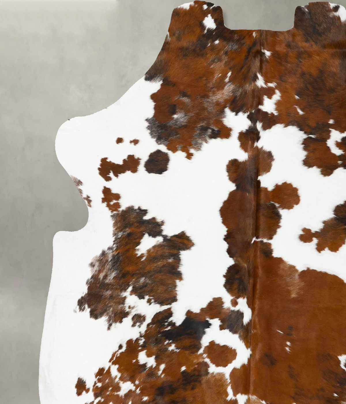 Tricolor X-Large European Cowhide Rug 7'5"H x 6'8"W #B23149 by Hudson Hides