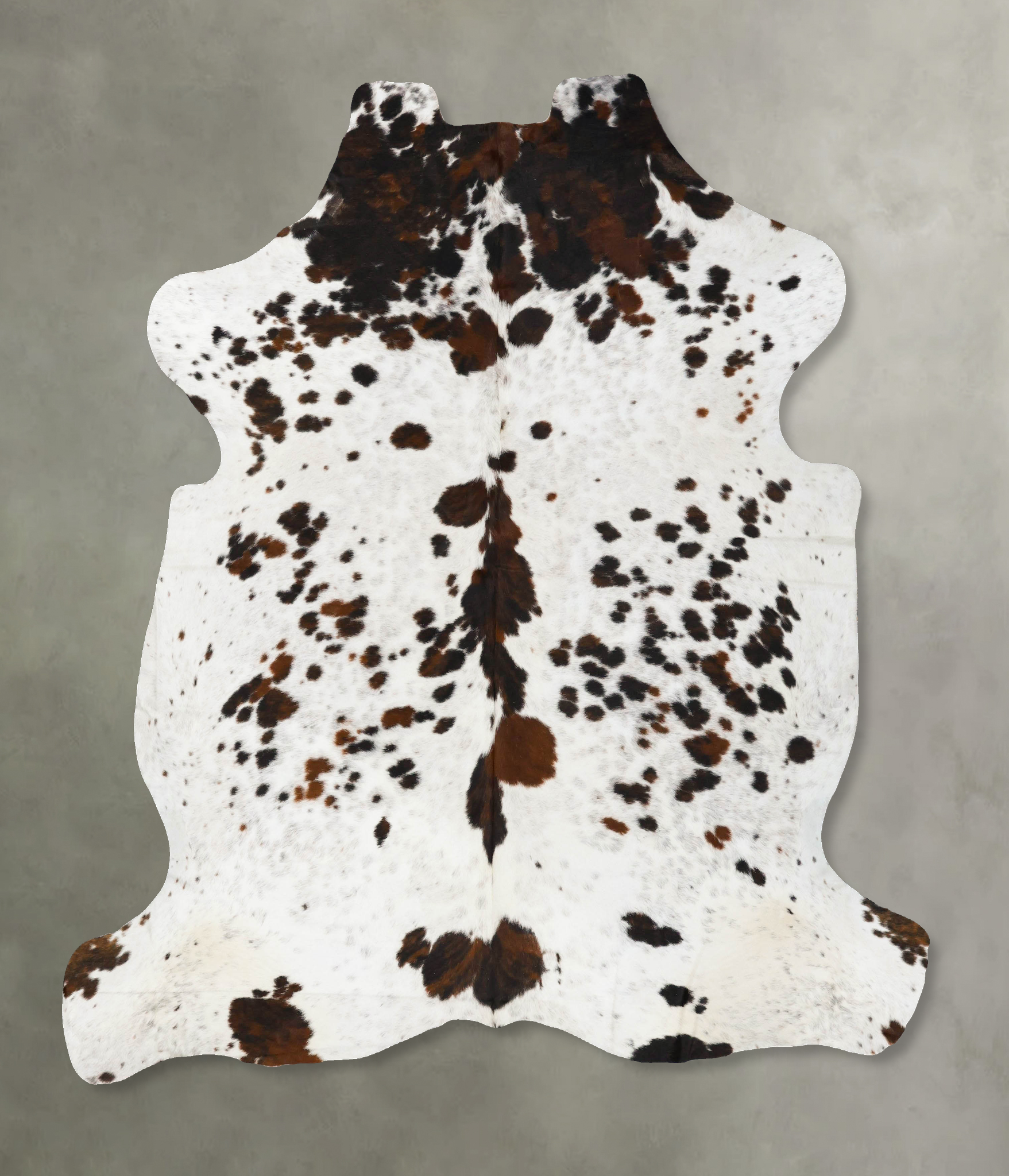 Tricolor Cowhide Rug #B23150