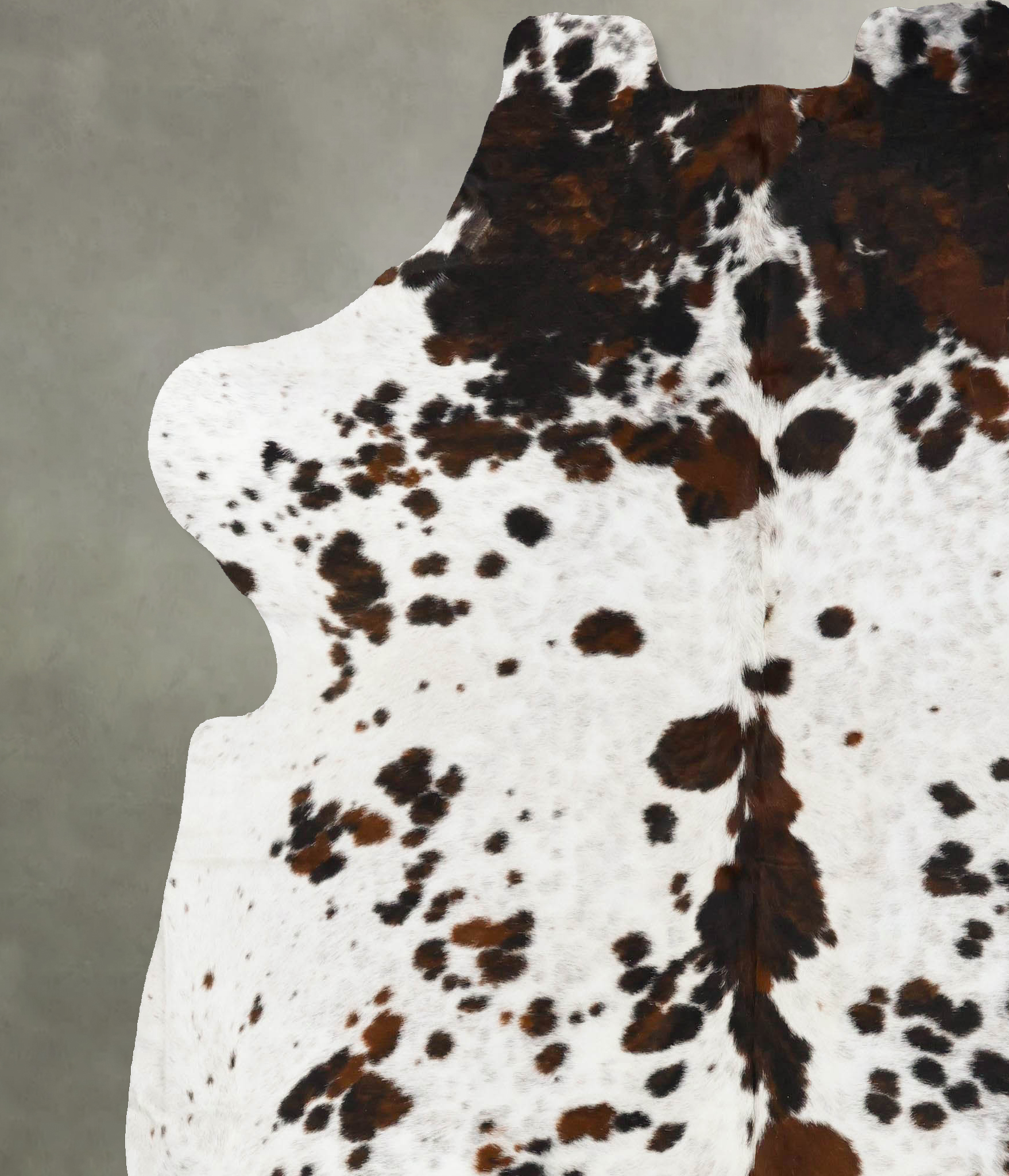 Tricolor Cowhide Rug #B23150