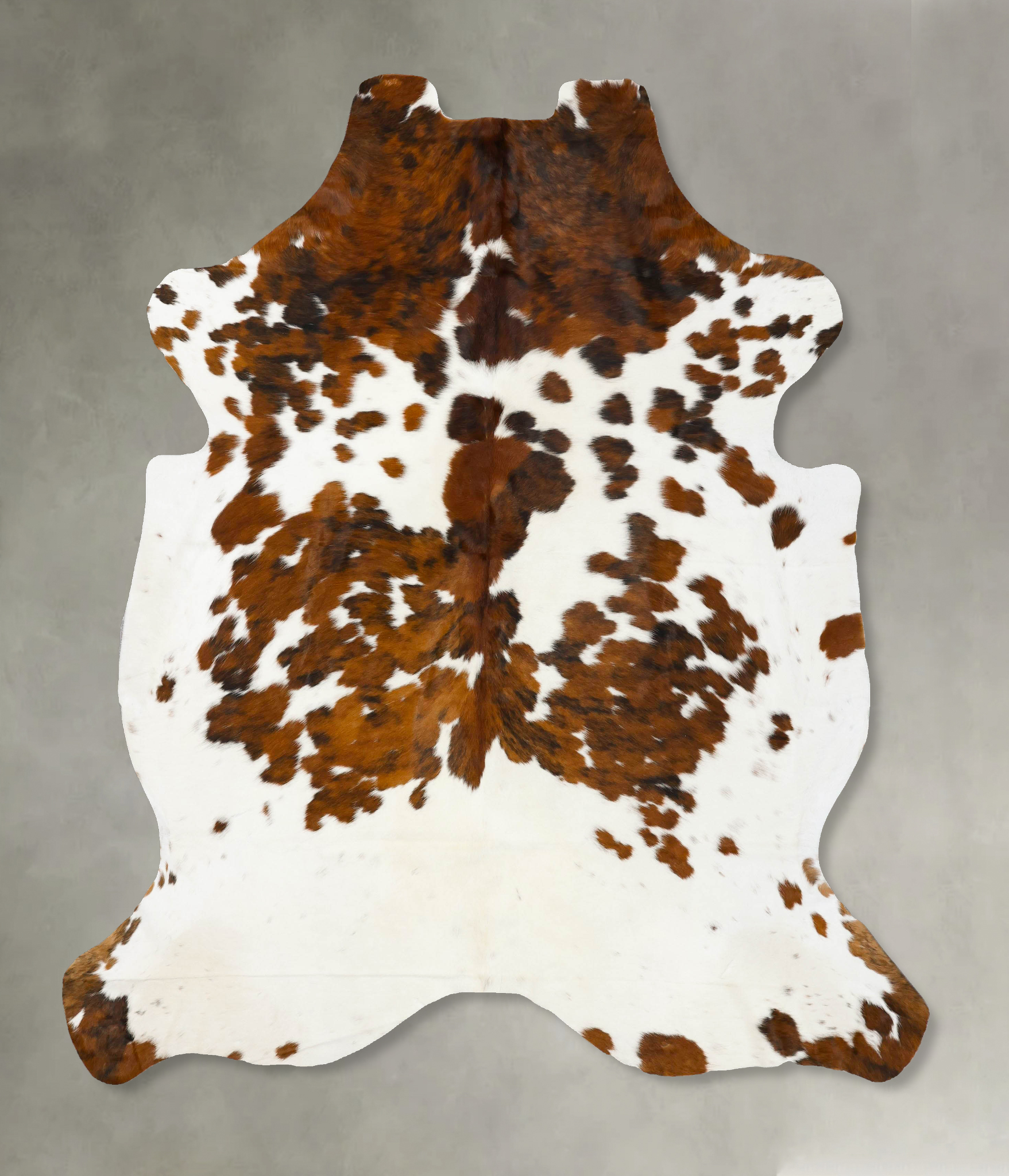 Tricolor Cowhide Rug #B23151