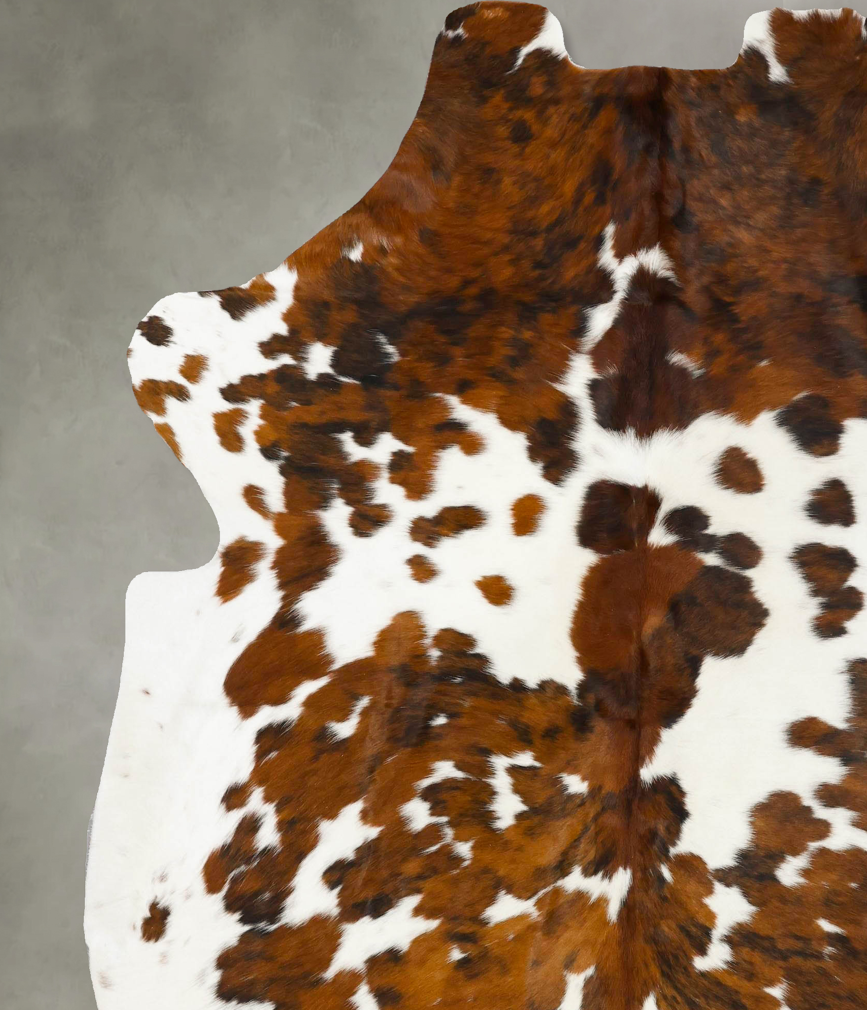 Tricolor Cowhide Rug #B23151