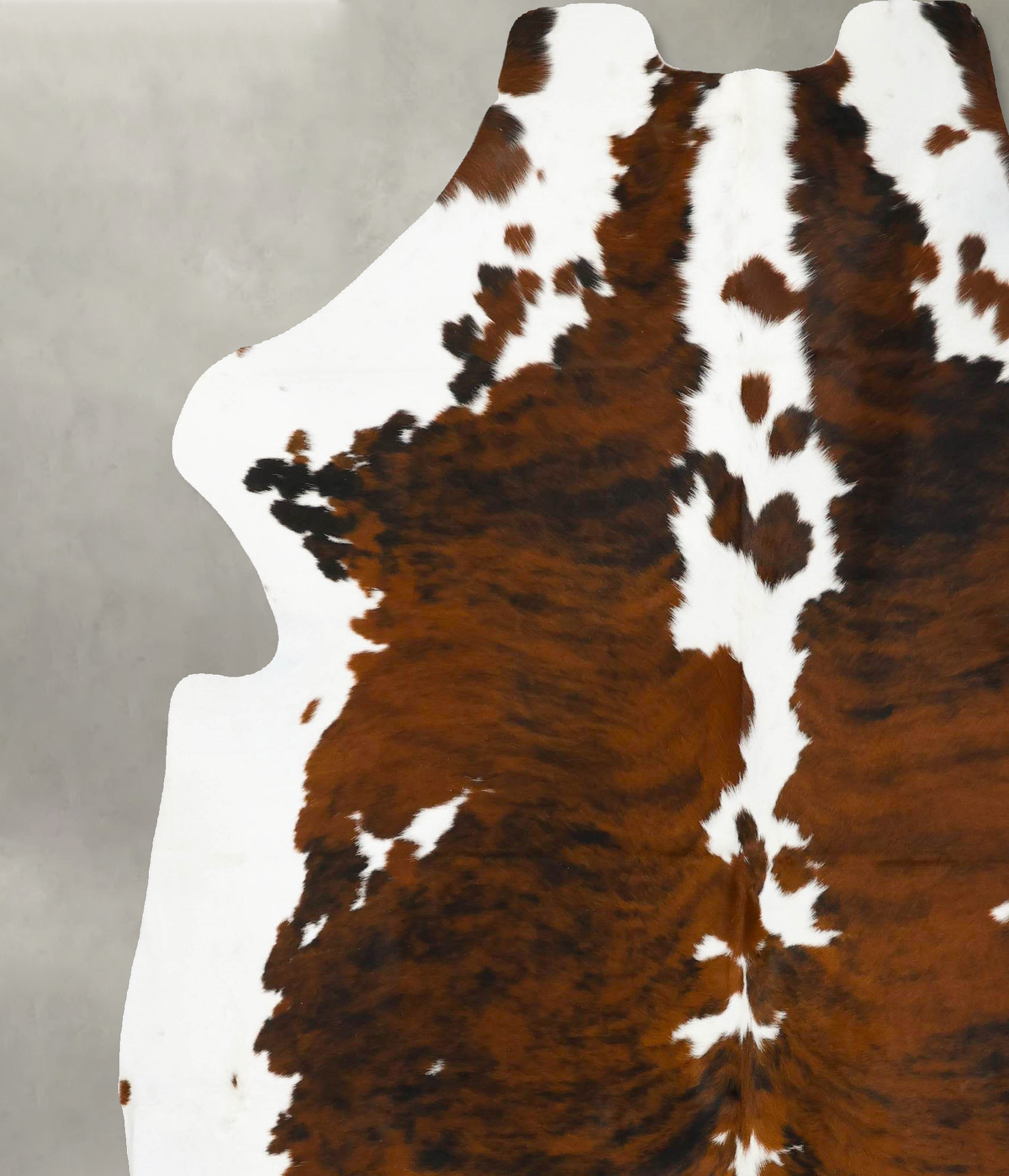 Tricolor XX-Large European Cowhide Rug 8'1"H x 6'10"W #B23152 by Hudson Hides