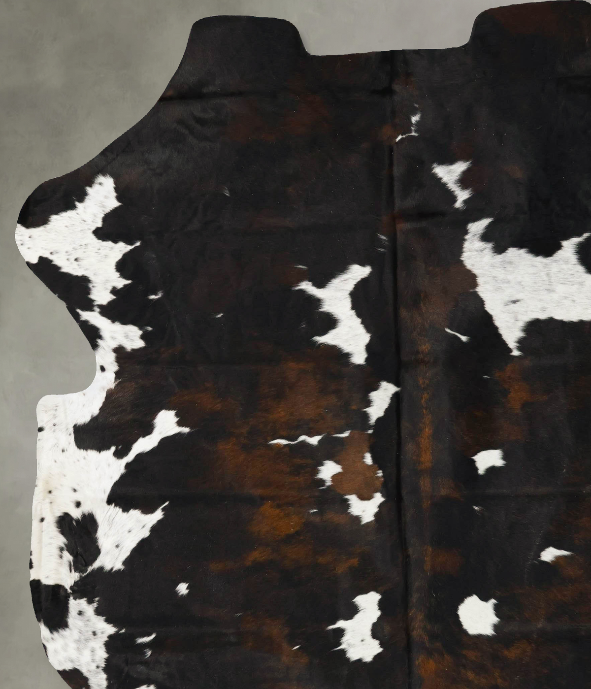 Tricolor XX-Large European Cowhide Rug 8'6"H x 6'11"W #B23153 by Hudson Hides