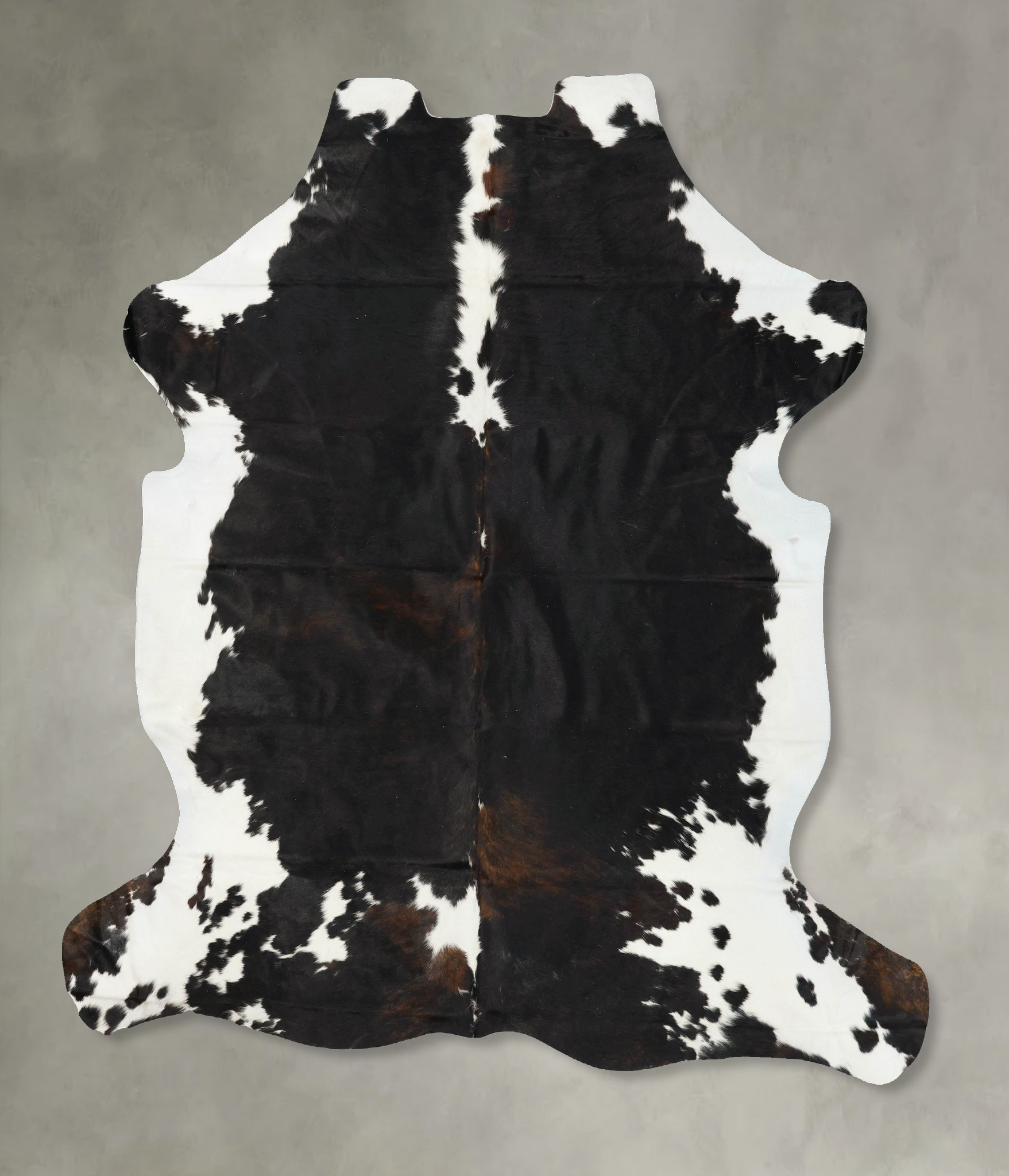 Tricolor Cowhide Rug #B23157