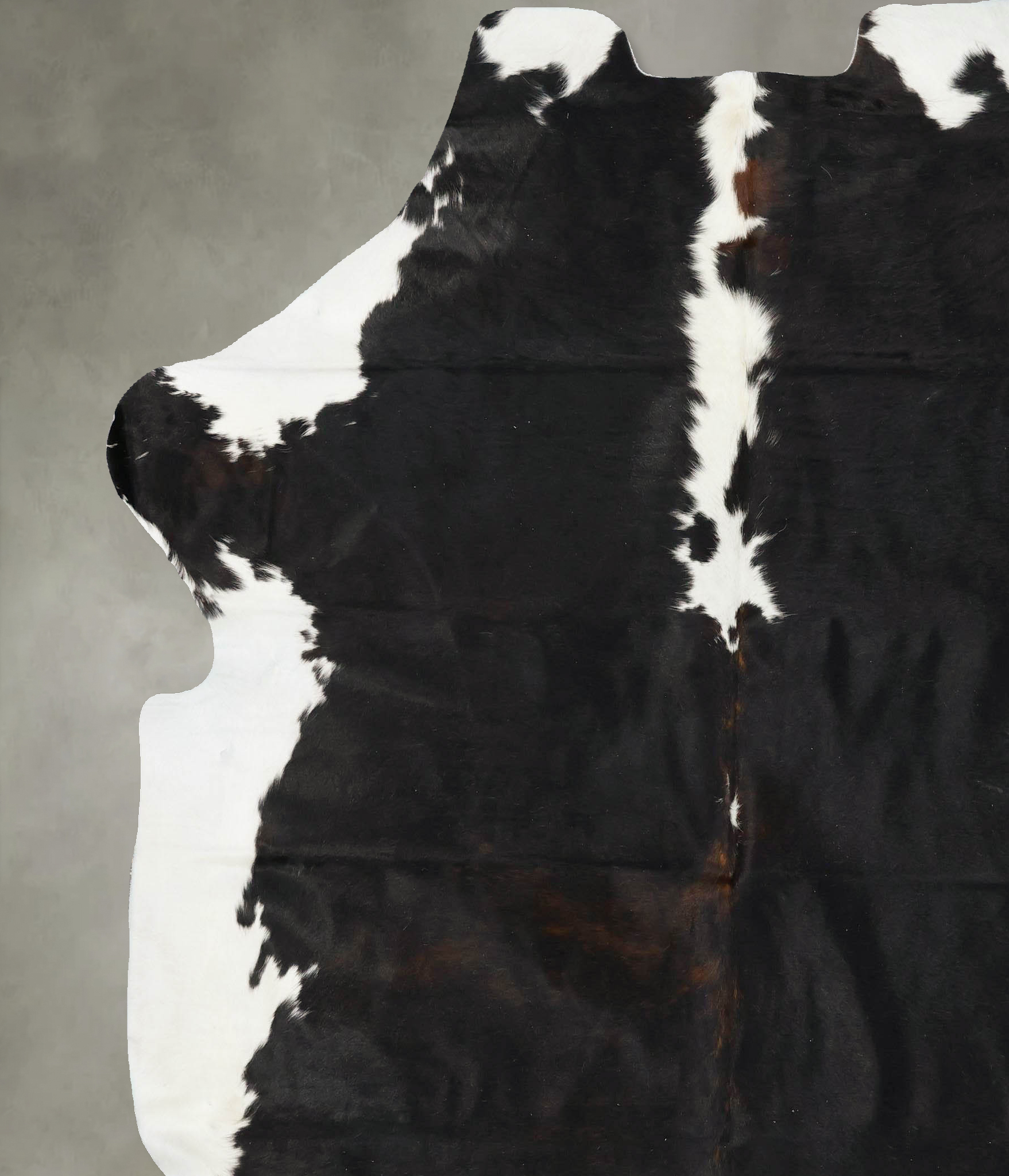 Tricolor Cowhide Rug #B23157