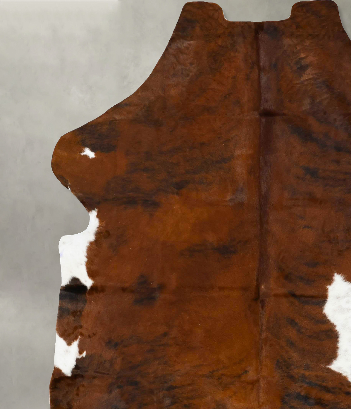 Tricolor XX-Large European Cowhide Rug 8'6"H x 7'2"W #B23160 by Hudson Hides