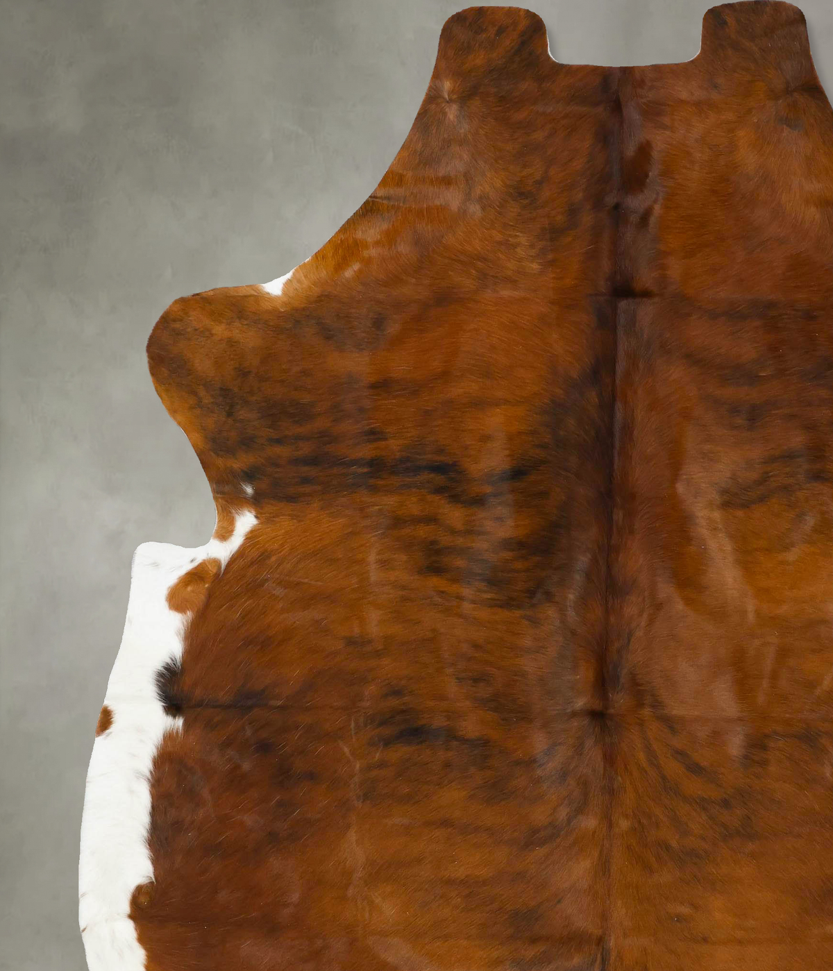 Tricolor XX-Large European Cowhide Rug 7'10"H x 6'10"W #B23166 by Hudson Hides