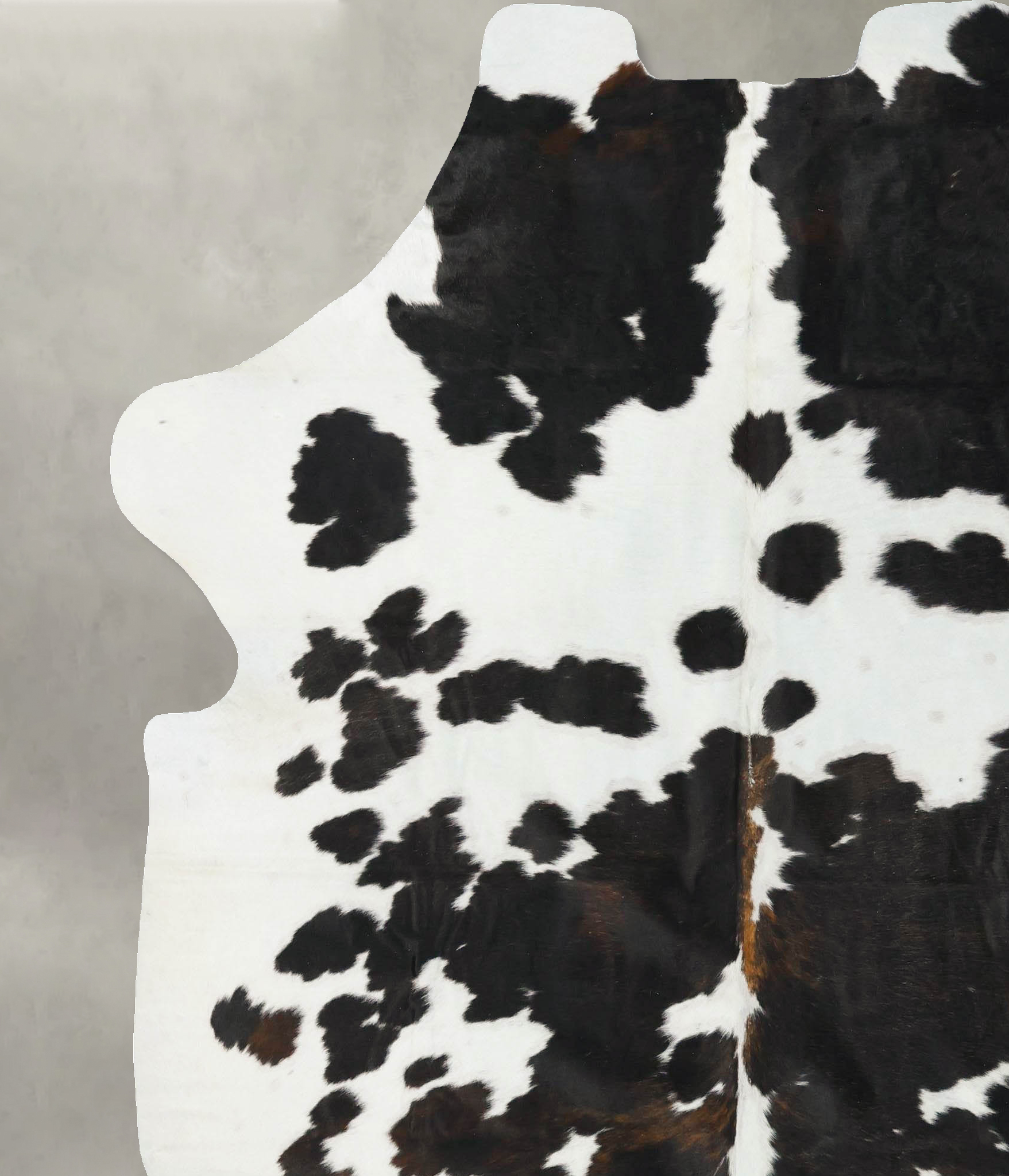 Tricolor Cowhide Rug #B23176