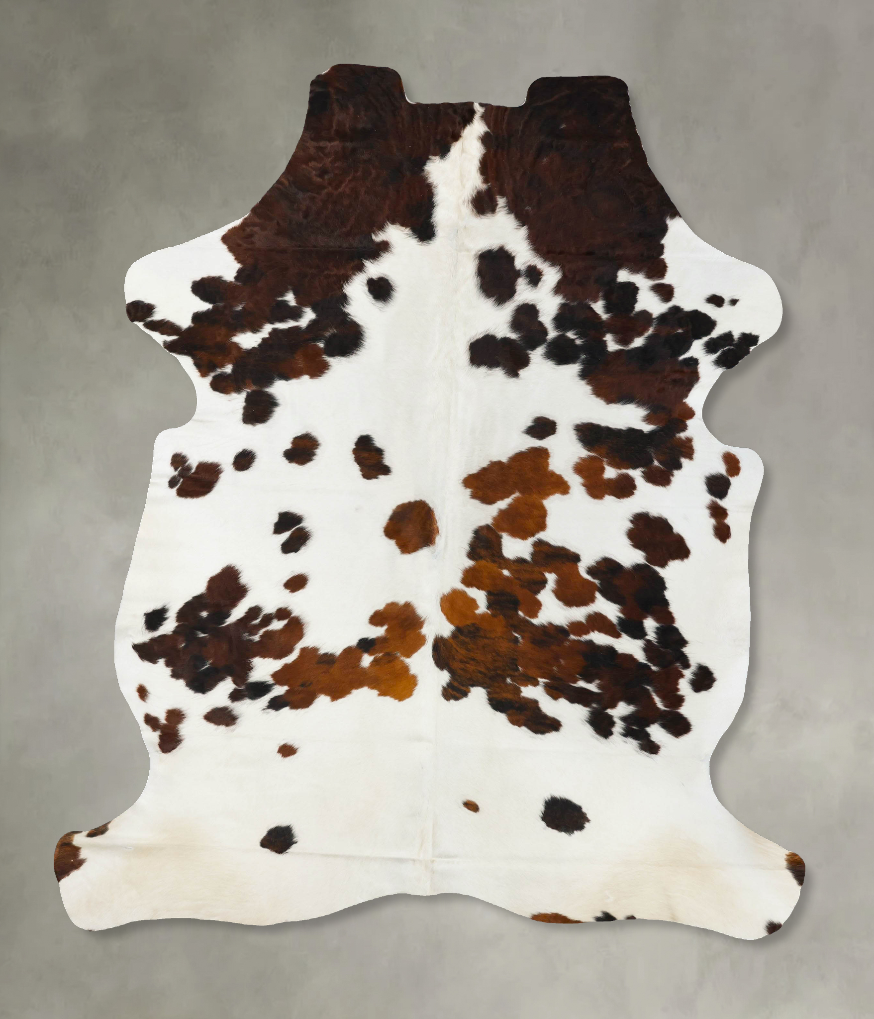 Tricolor Cowhide Rug #B23177