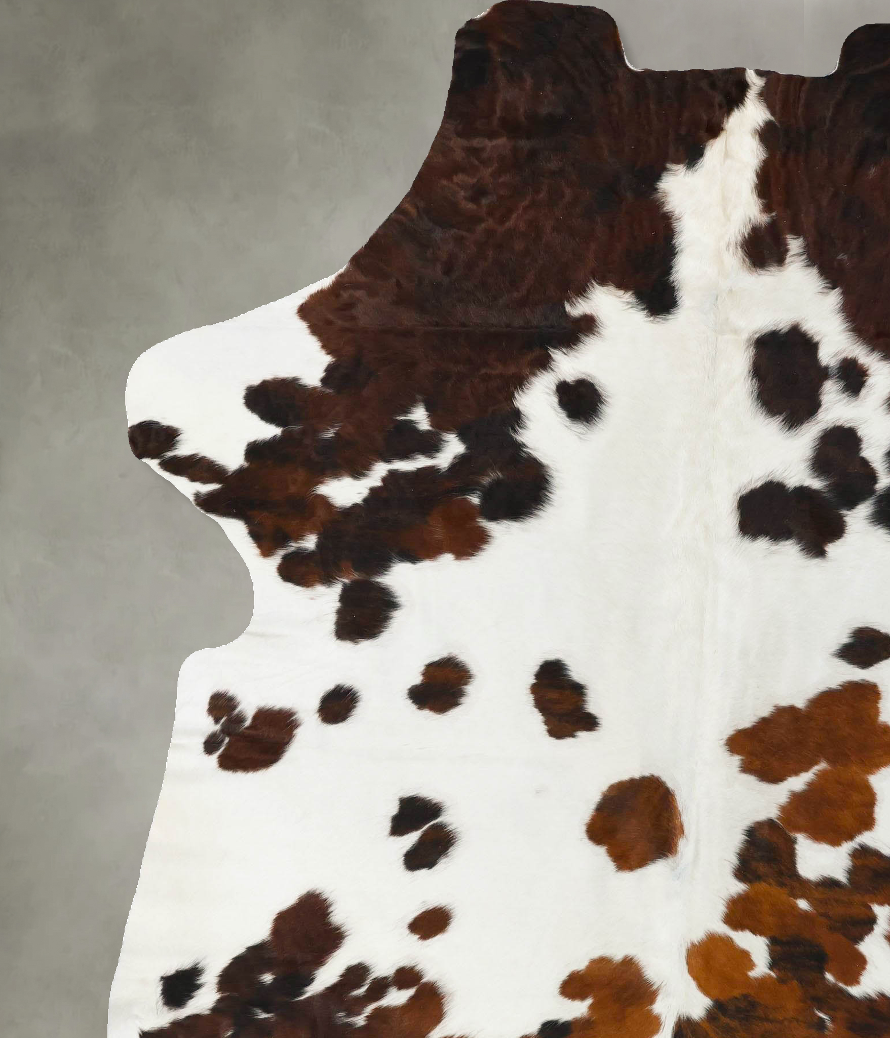 Tricolor Cowhide Rug #B23177