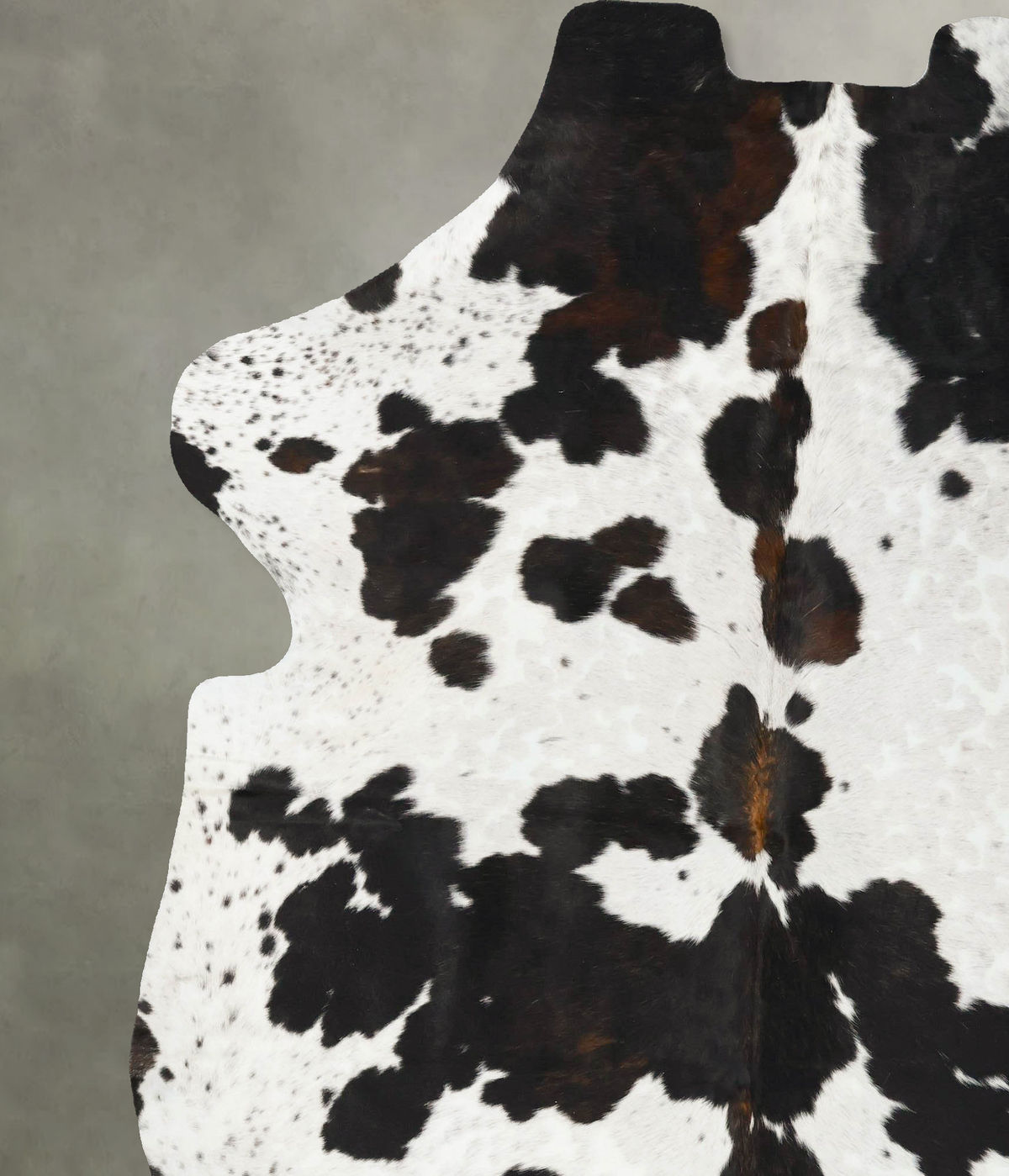 Tricolor XX-Large European Cowhide Rug 8'2"H x 6'9"W #B23178 by Hudson Hides