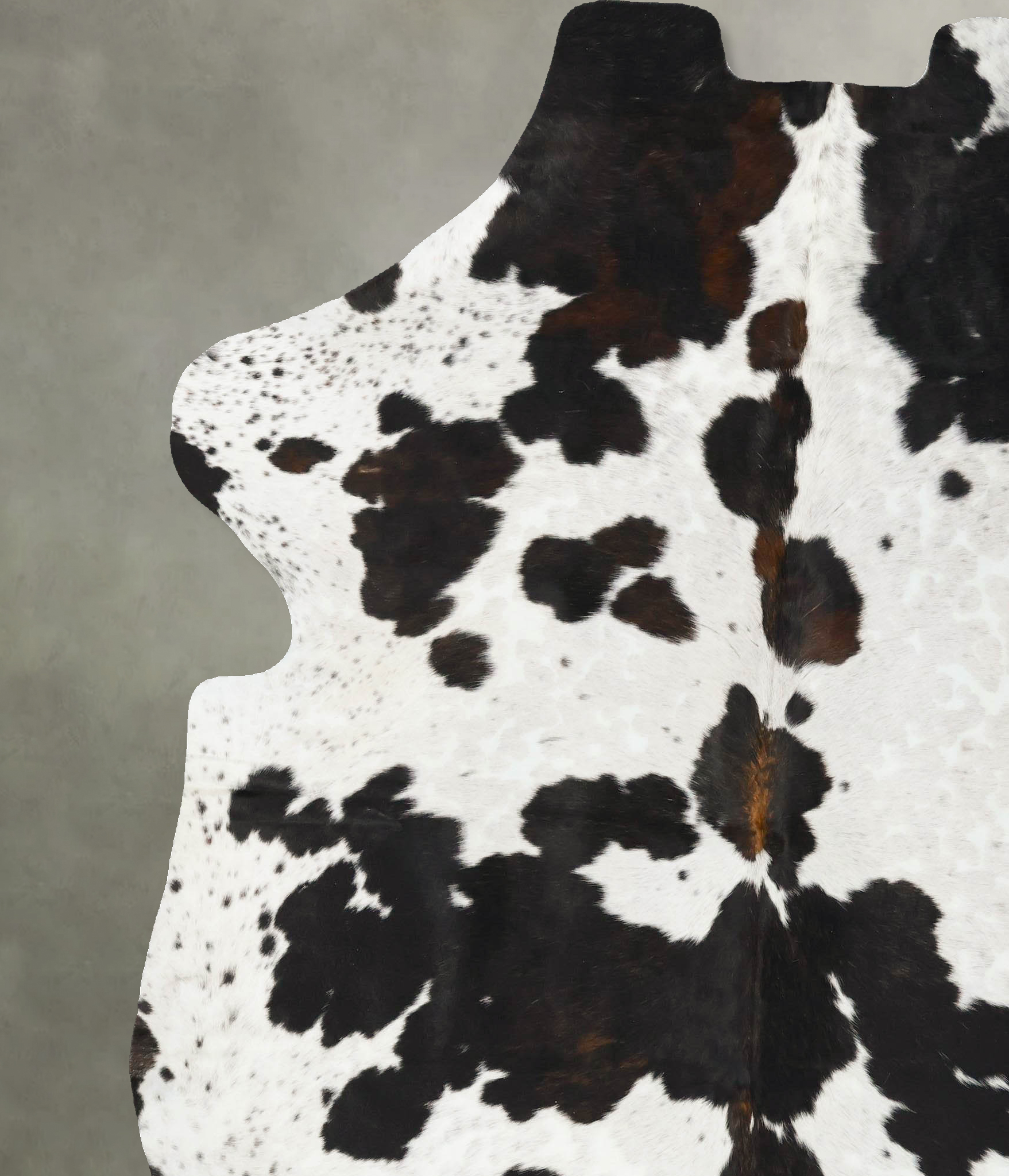 Tricolor Cowhide Rug #B23178