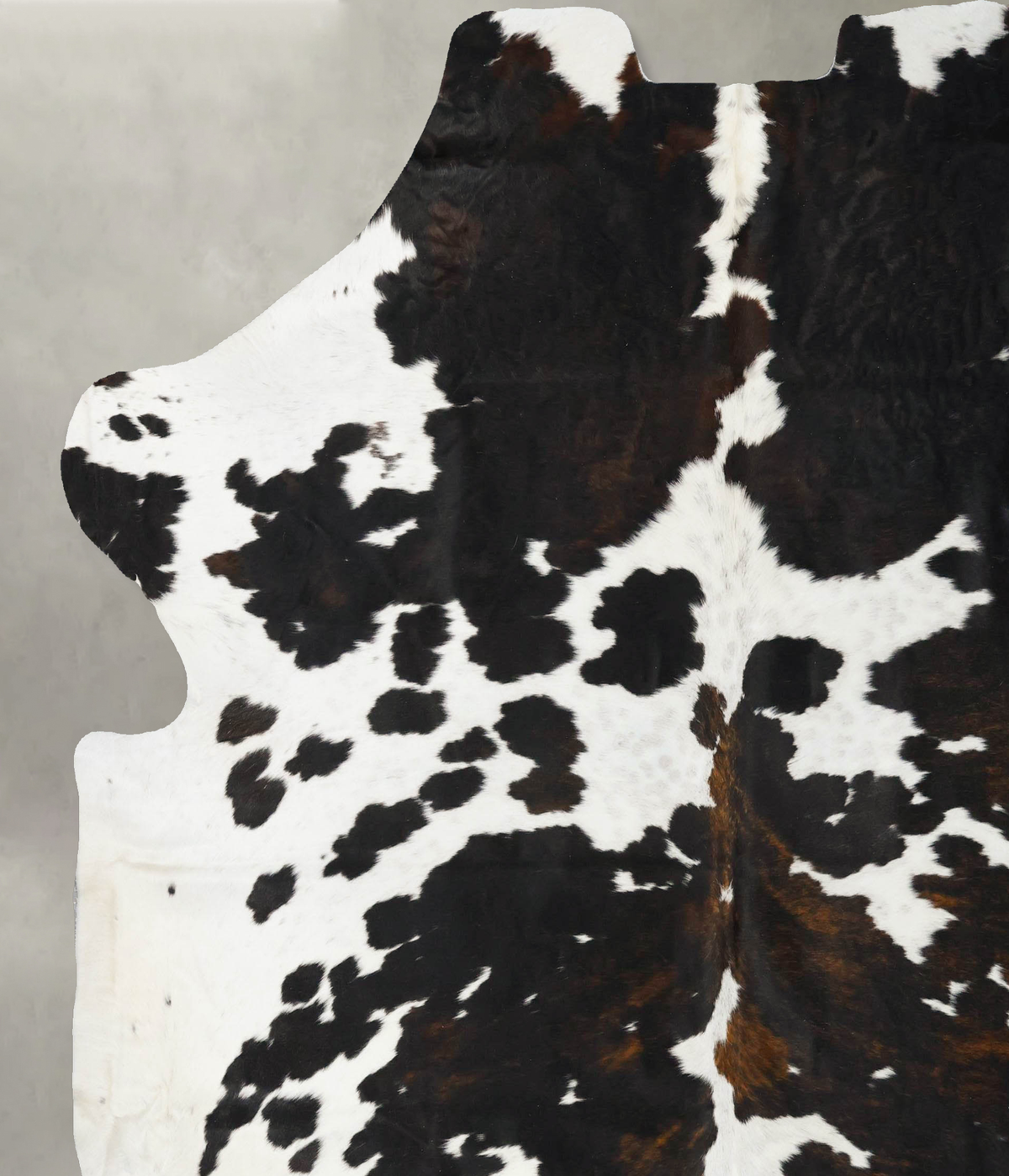 Tricolor XX-Large European Cowhide Rug 8'5"H x 7'6"W #B23180 by Hudson Hides