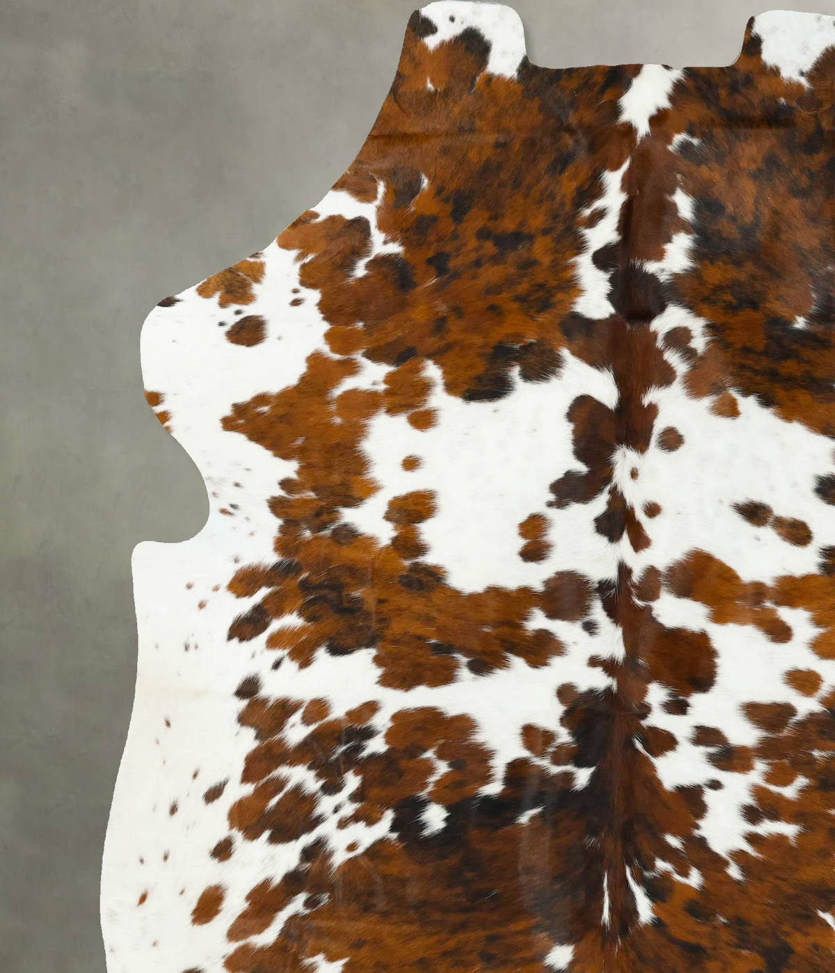 Tricolor XX-Large European Cowhide Rug 8'4"H x 6'9"W #B23187 by Hudson Hides