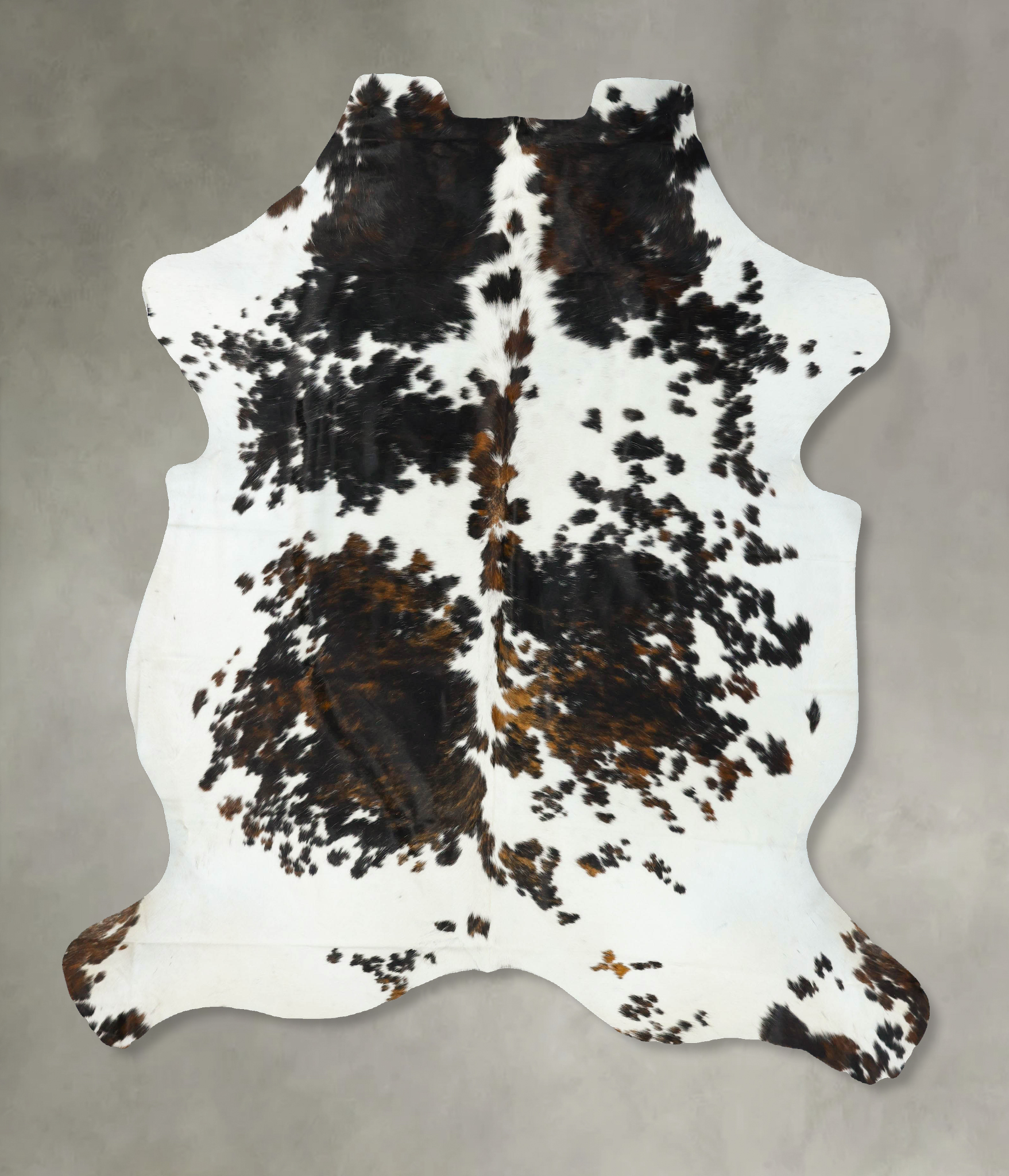 Tricolor Cowhide Rug #B23188