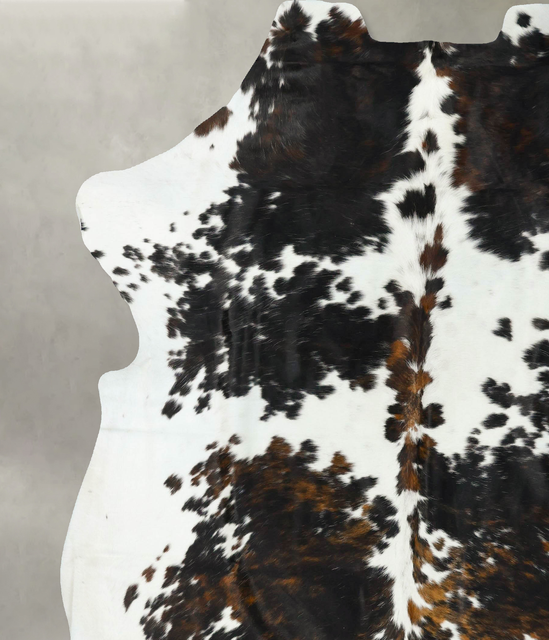 Tricolor Cowhide Rug #B23188