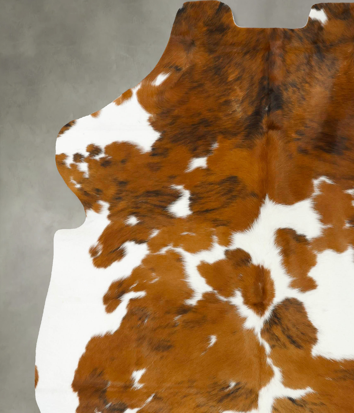 Tricolor XX-Large European Cowhide Rug 8'0"H x 6'9"W #B23189 by Hudson Hides