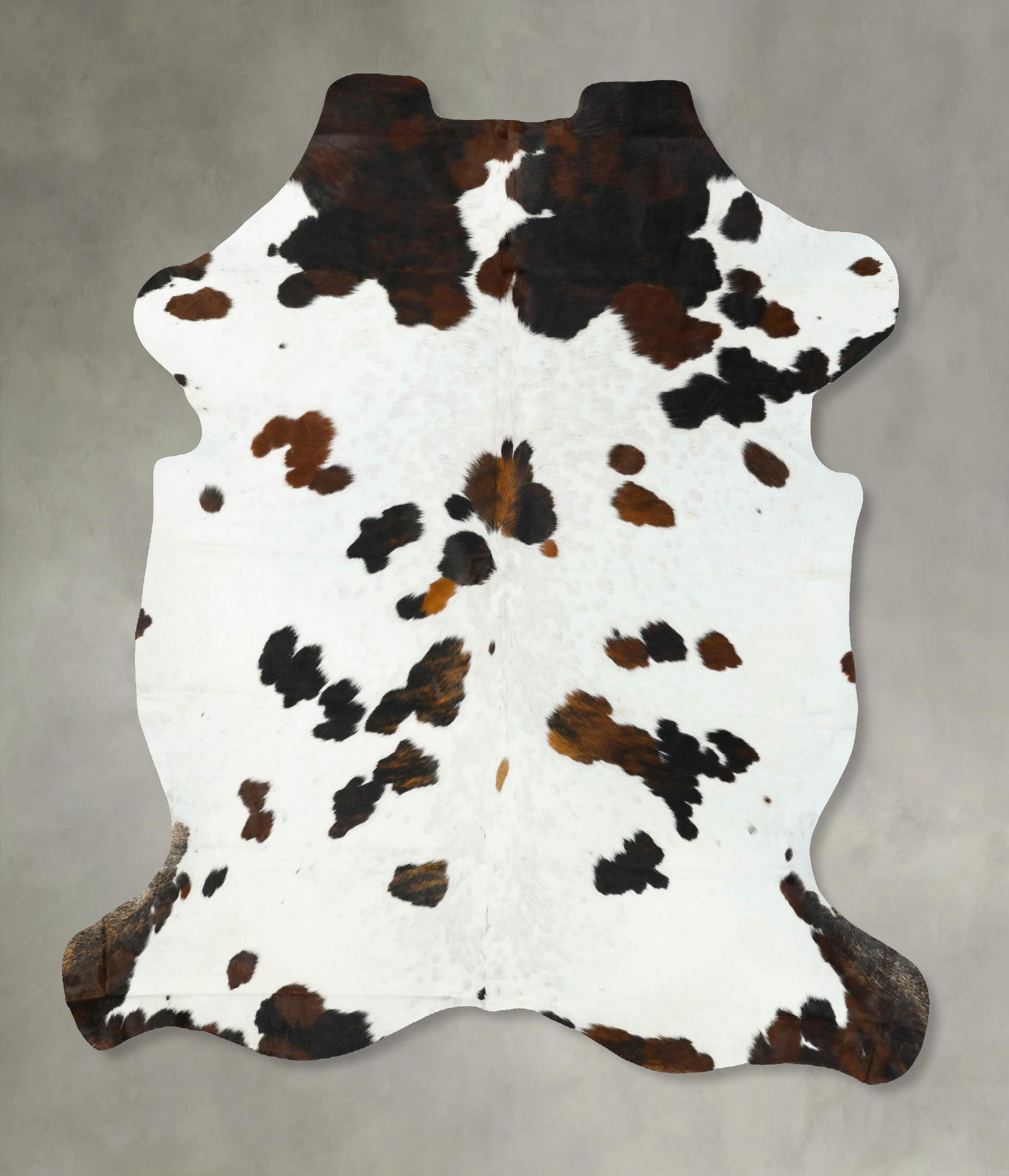 Tricolor Cowhide Rug #B23190