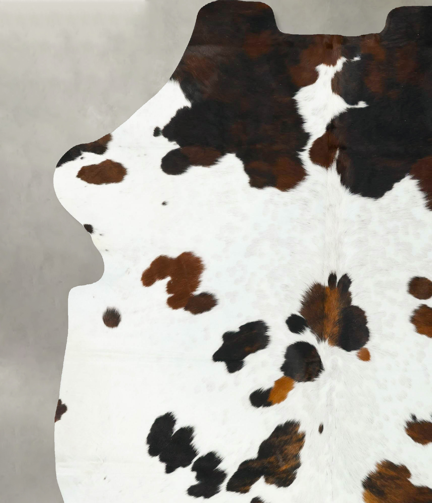 Tricolor Cowhide Rug #B23190