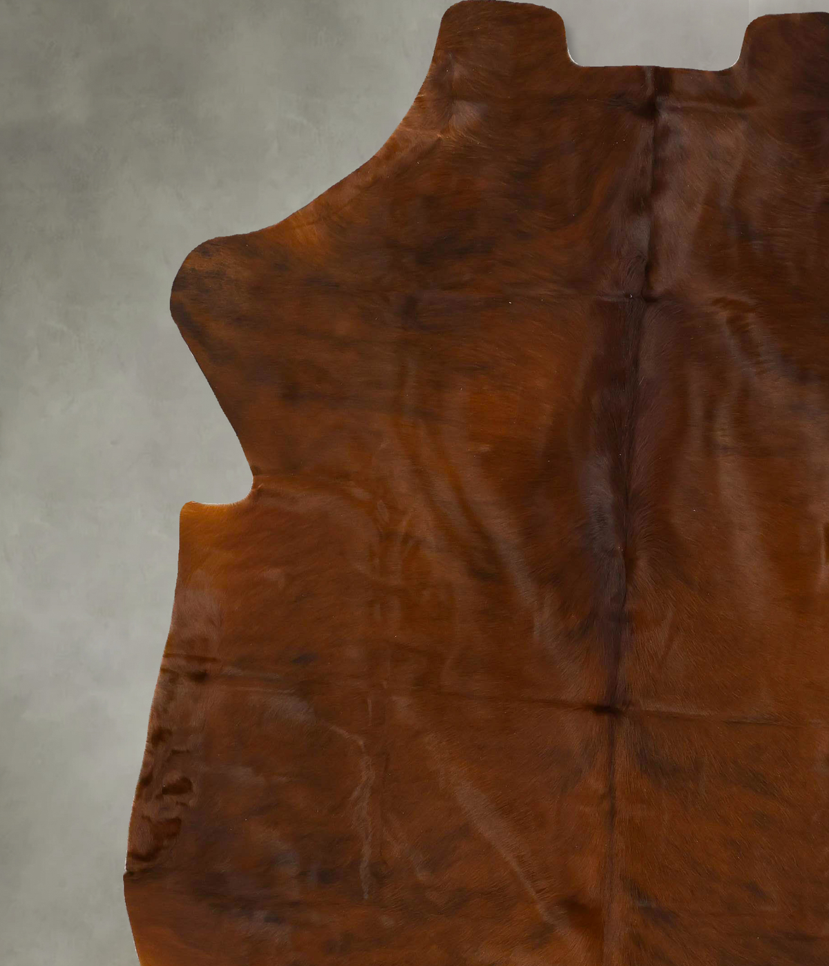 Medium Brindle XX-Large European Cowhide Rug 8'3"H x 7'2"W #B23192 by Hudson Hides