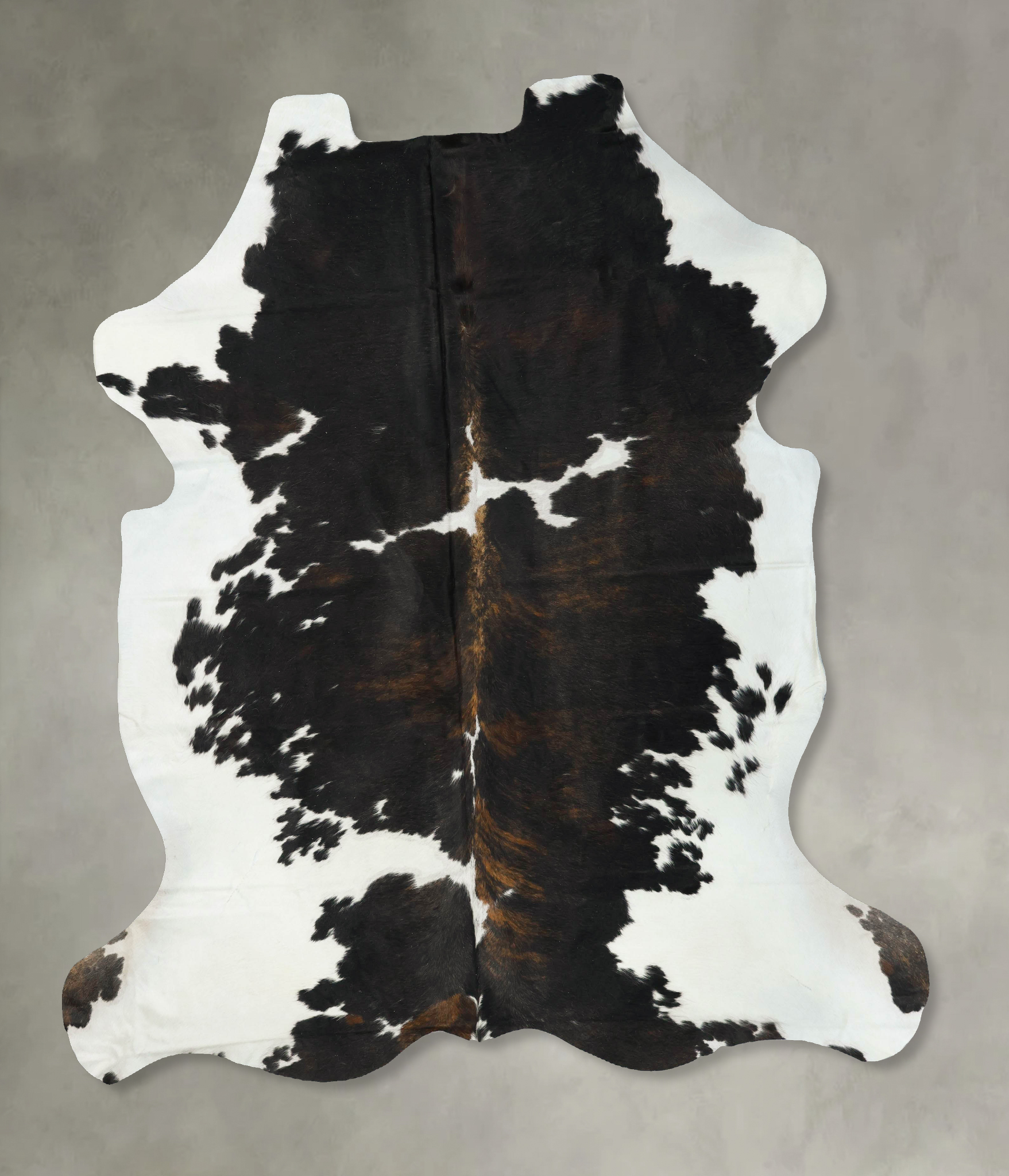 Tricolor Cowhide Rug #B23194