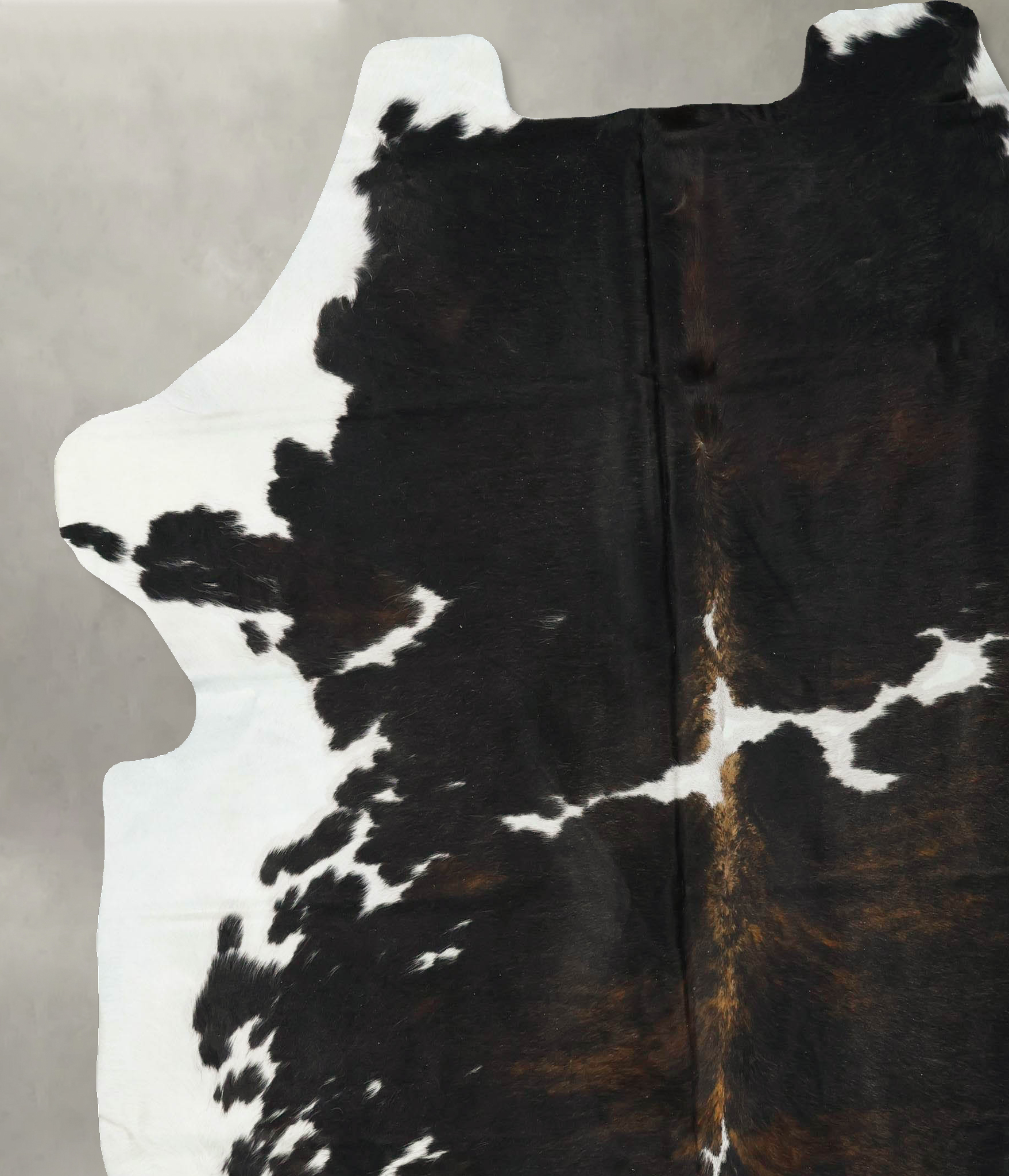 Tricolor Cowhide Rug #B23194