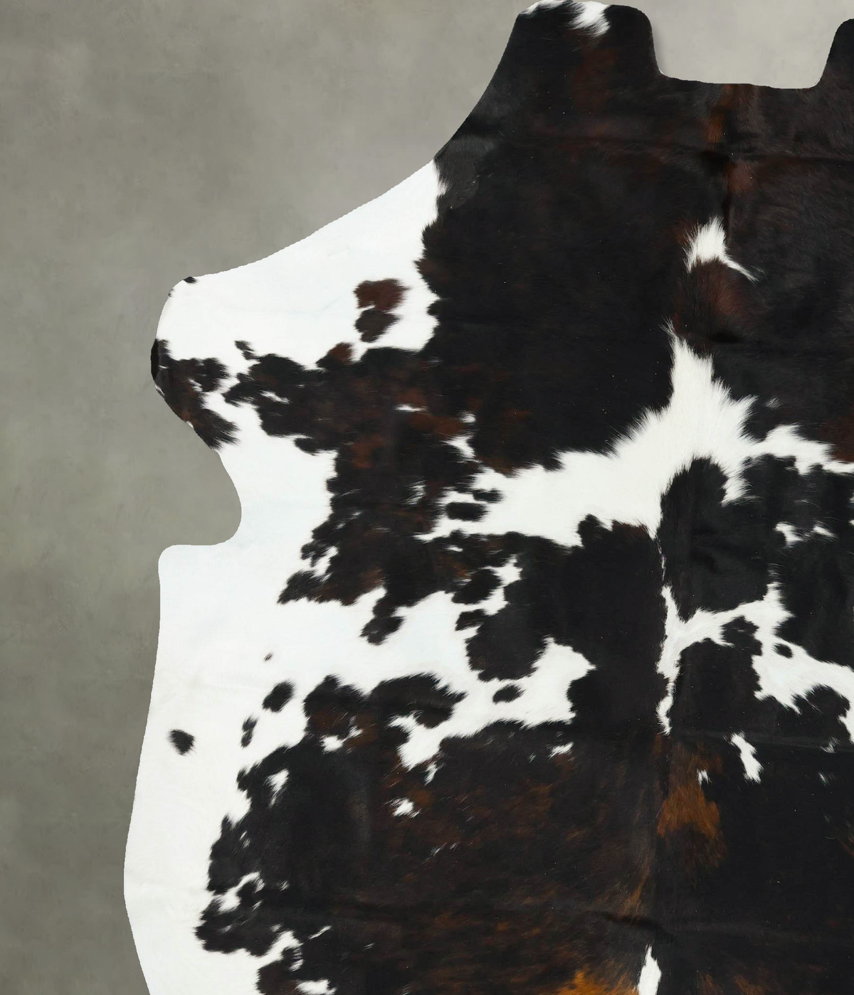 Tricolor XX-Large European Cowhide Rug 8'7"H x 7'0"W #B23198 by Hudson Hides