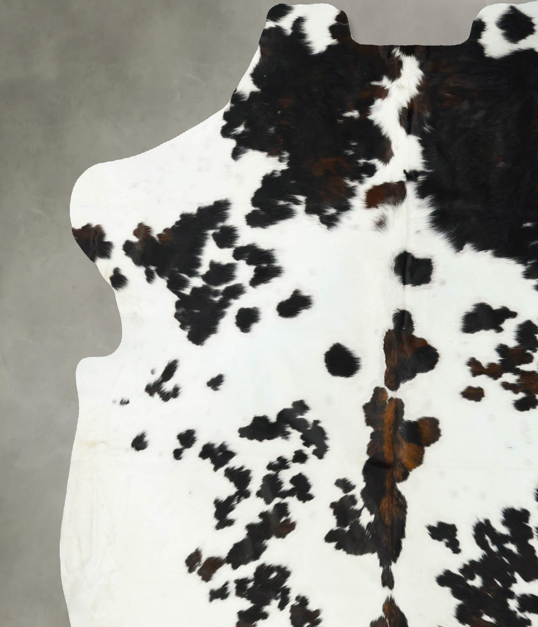 Tricolor Cowhide Rug #B23199