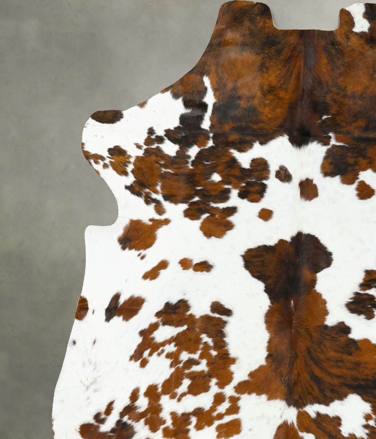Tricolor XX-Large European Cowhide Rug 7'11"H x 6'8"W #B23201 by Hudson Hides