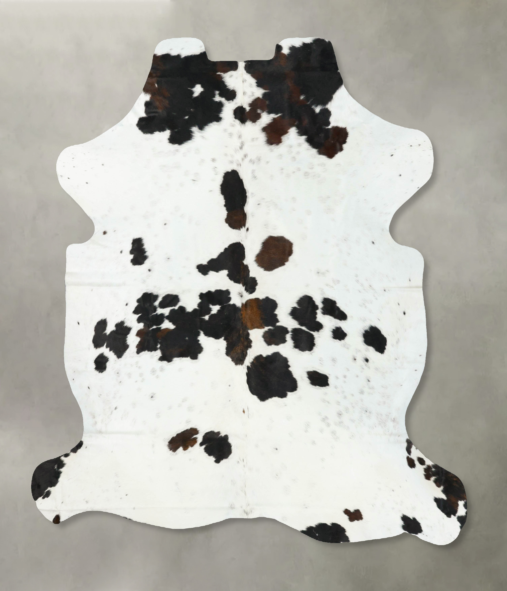 Tricolor Cowhide Rug #B23202