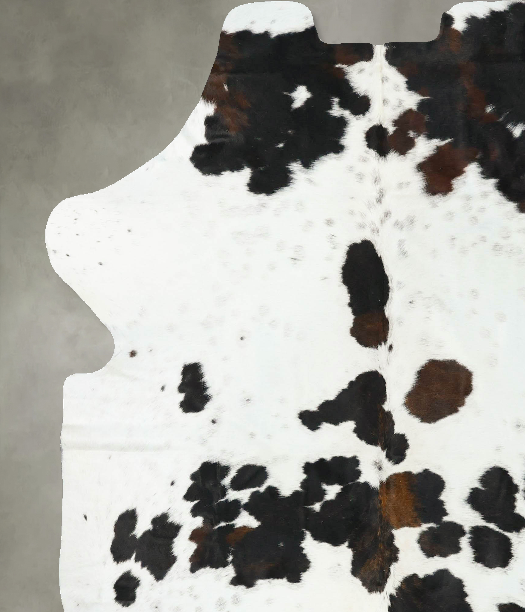 Tricolor Cowhide Rug #B23202