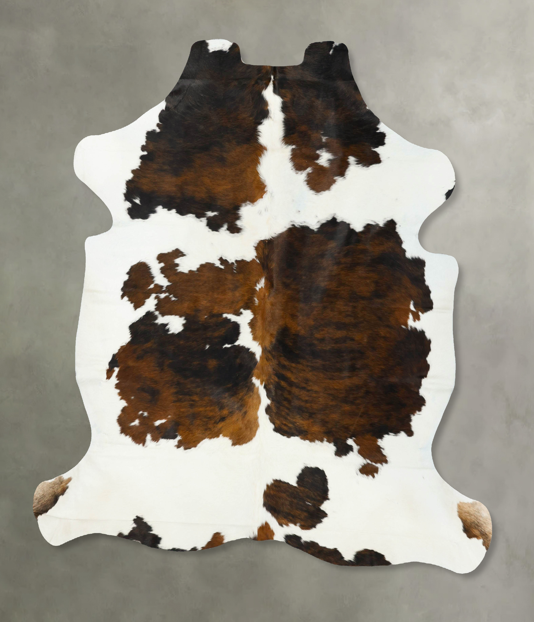 Tricolor Cowhide Rug #B23203