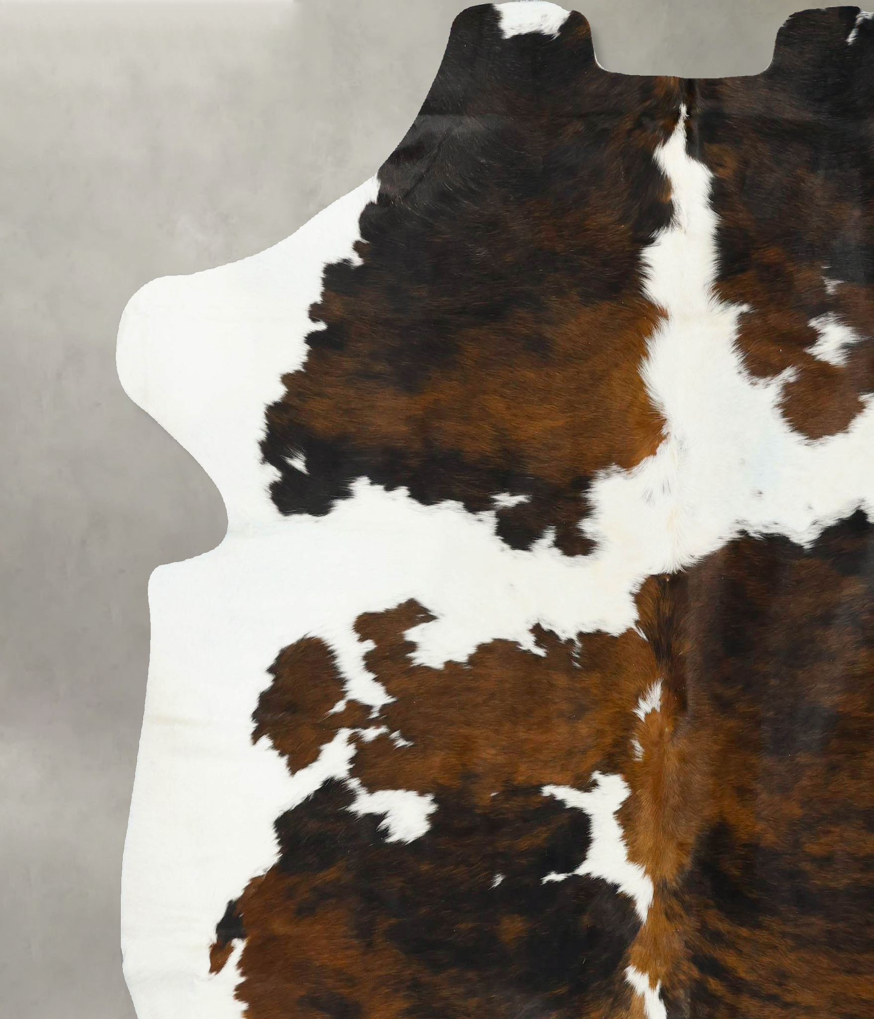 Tricolor Cowhide Rug #B23203