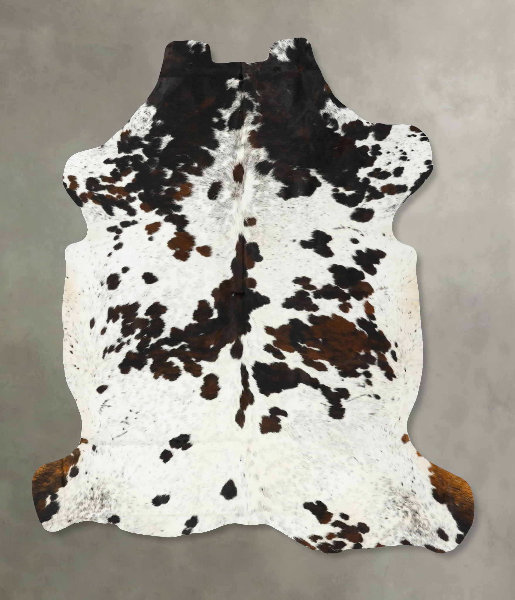 Tricolor Cowhide Rug #B23204