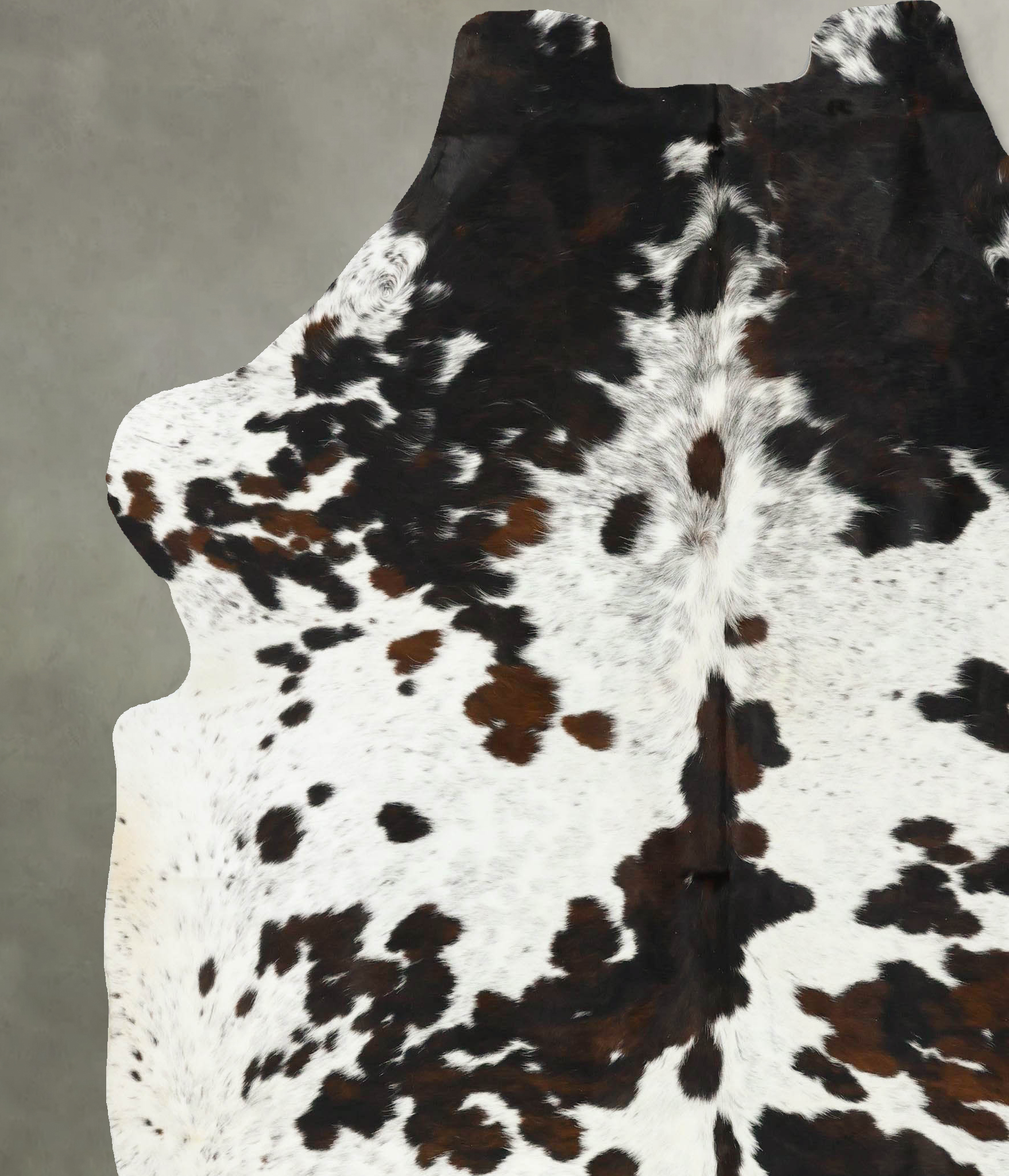 Tricolor Cowhide Rug #B23204