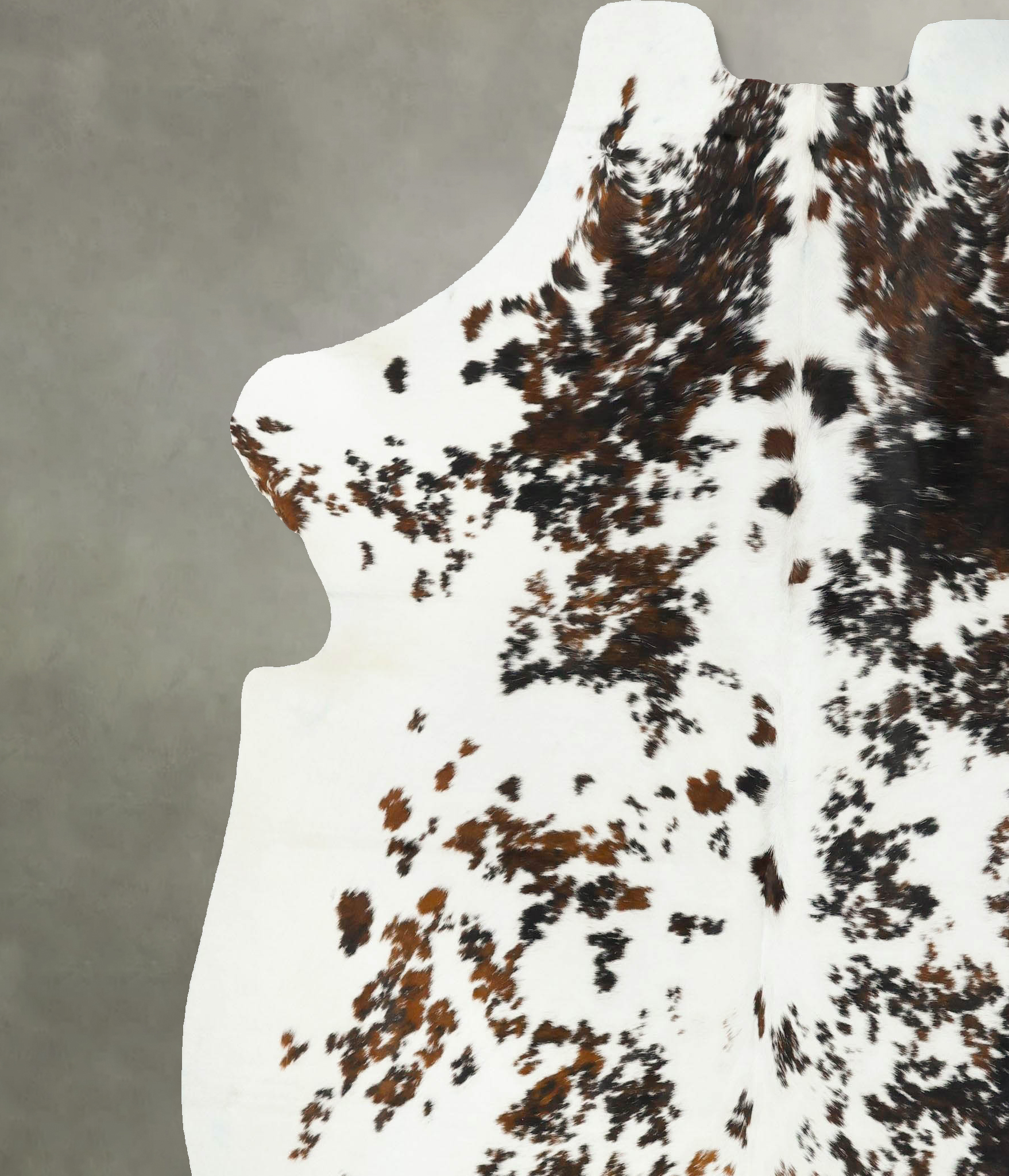 Tricolor Cowhide Rug #B23205